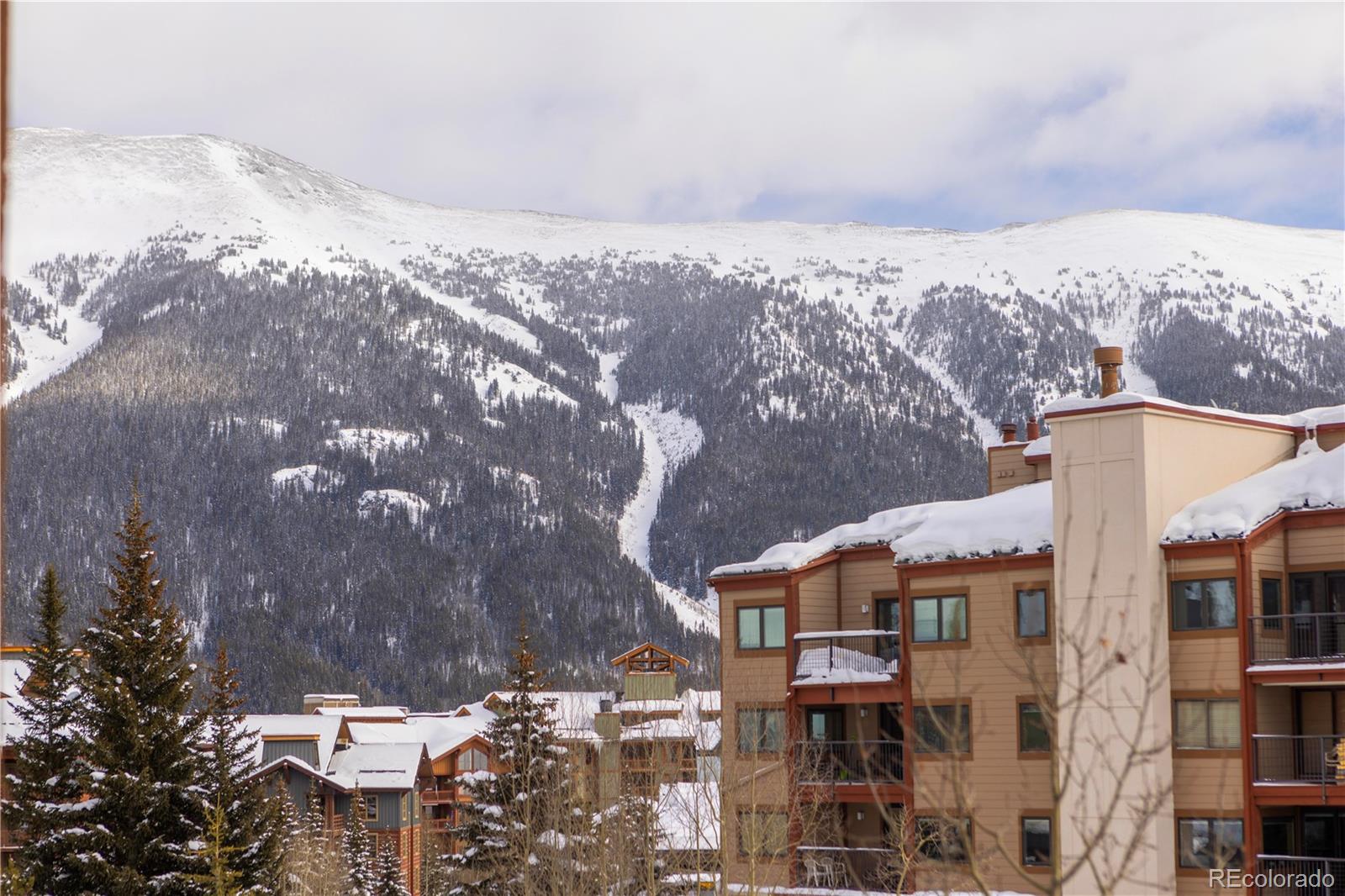 MLS Image #16 for 124  storm king drive,frisco, Colorado