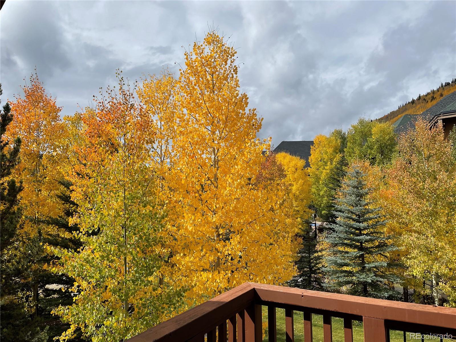 MLS Image #28 for 124  storm king drive,frisco, Colorado