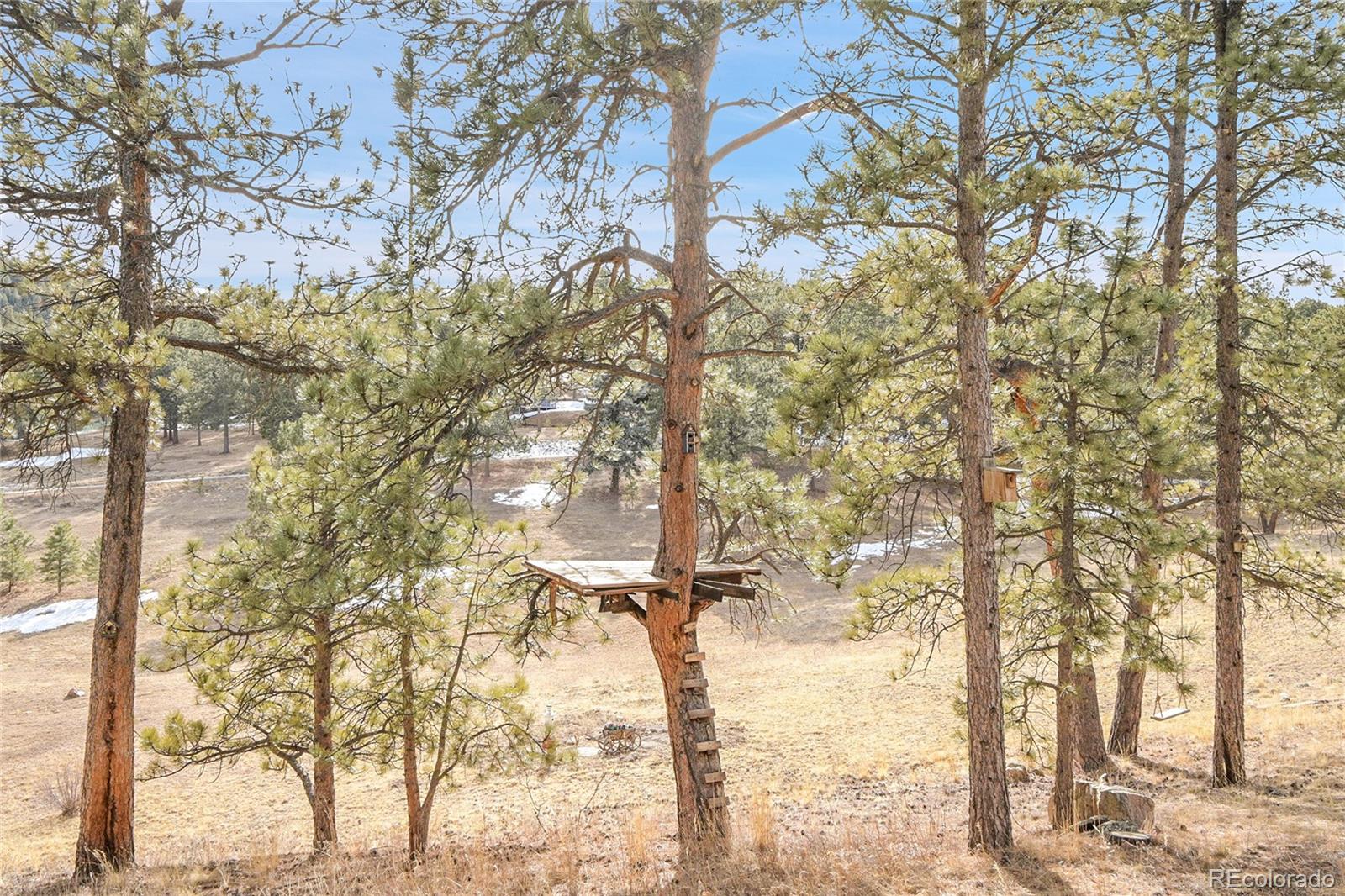 MLS Image #44 for 13342  douglass ranch drive,pine, Colorado