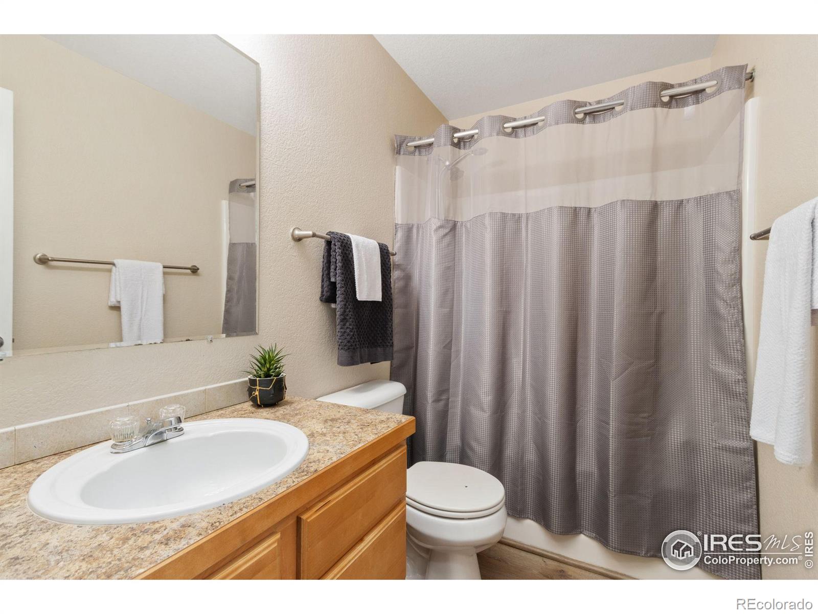 MLS Image #12 for 904  cliffrose way,severance, Colorado