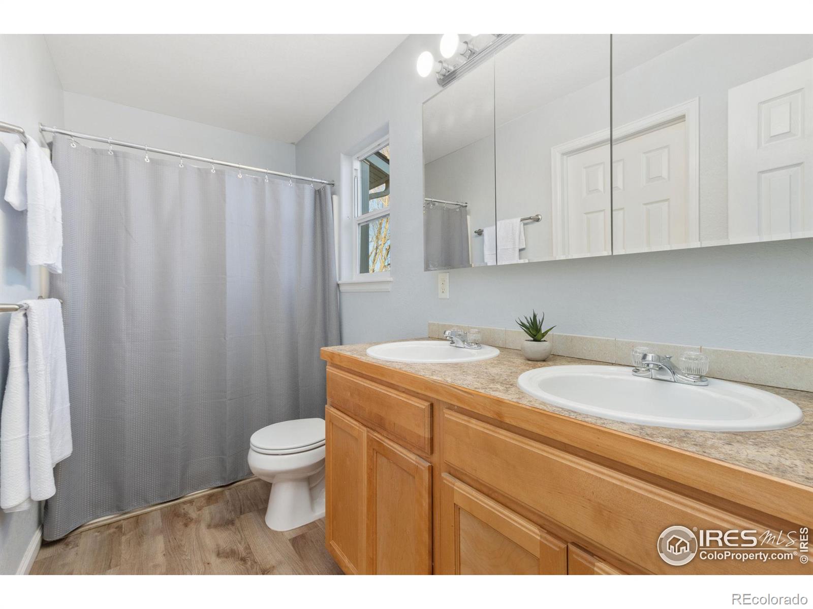 MLS Image #9 for 904  cliffrose way,severance, Colorado