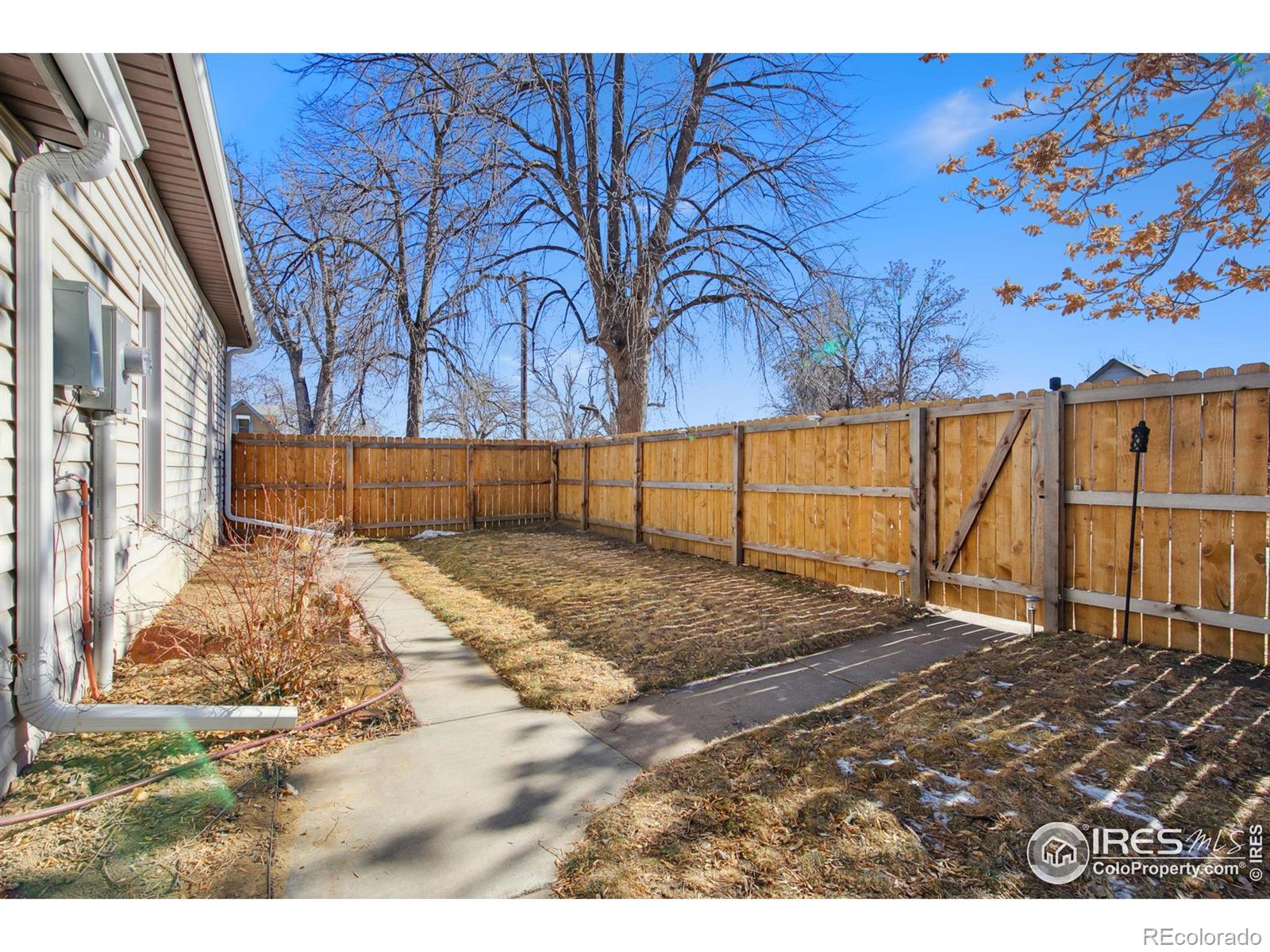 MLS Image #33 for 203  garfield avenue,loveland, Colorado