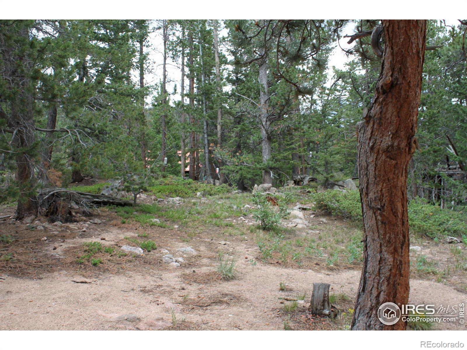 MLS Image #24 for 292  jicarilla trail,red feather lakes, Colorado