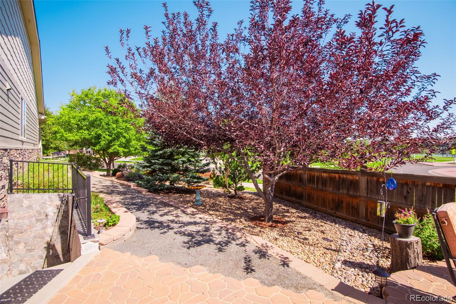 MLS Image #4 for 8919  ellis court,arvada, Colorado