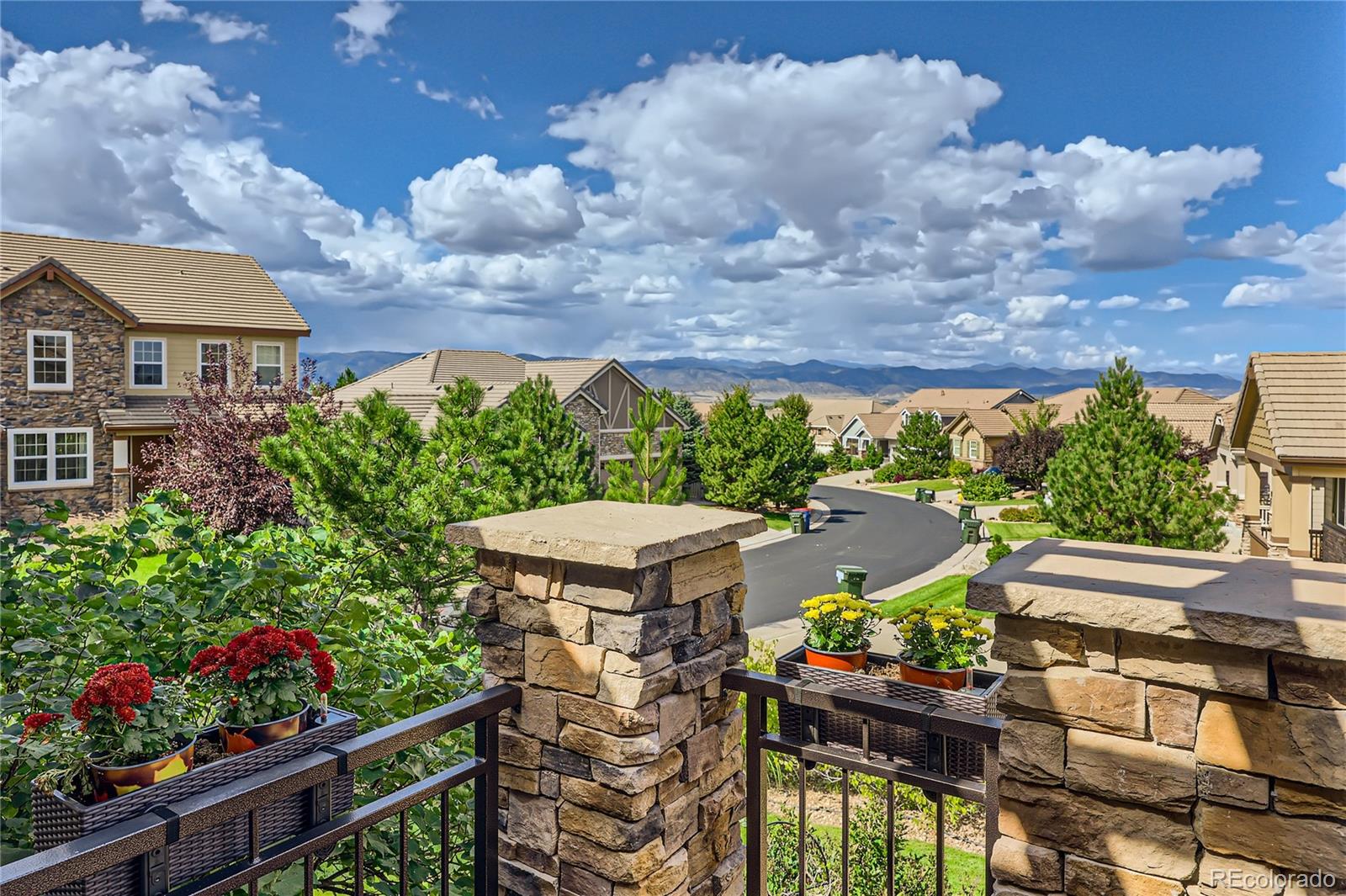 MLS Image #12 for 10443  skyreach way,highlands ranch, Colorado