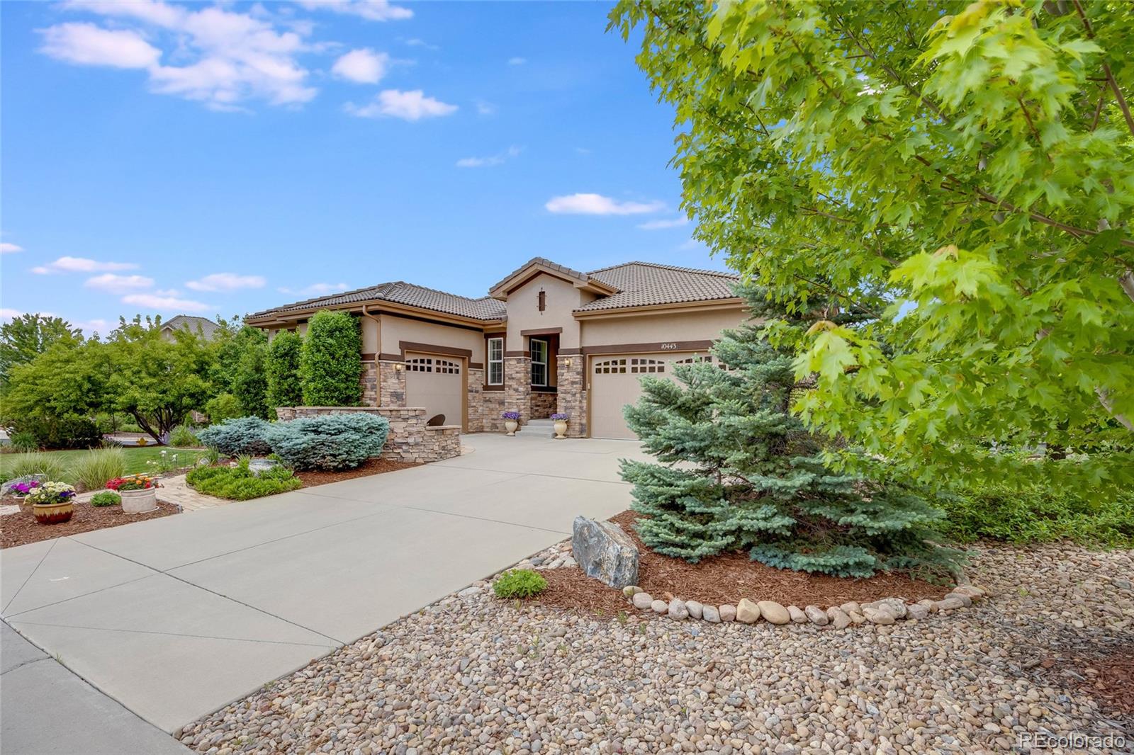 MLS Image #3 for 10443  skyreach way,highlands ranch, Colorado