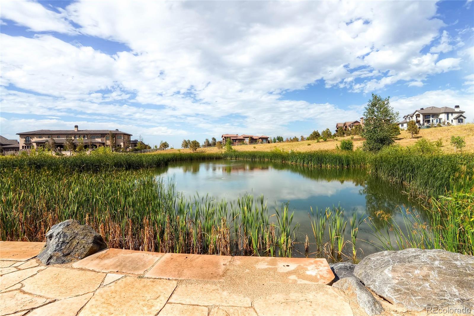 MLS Image #48 for 10443  skyreach way,highlands ranch, Colorado