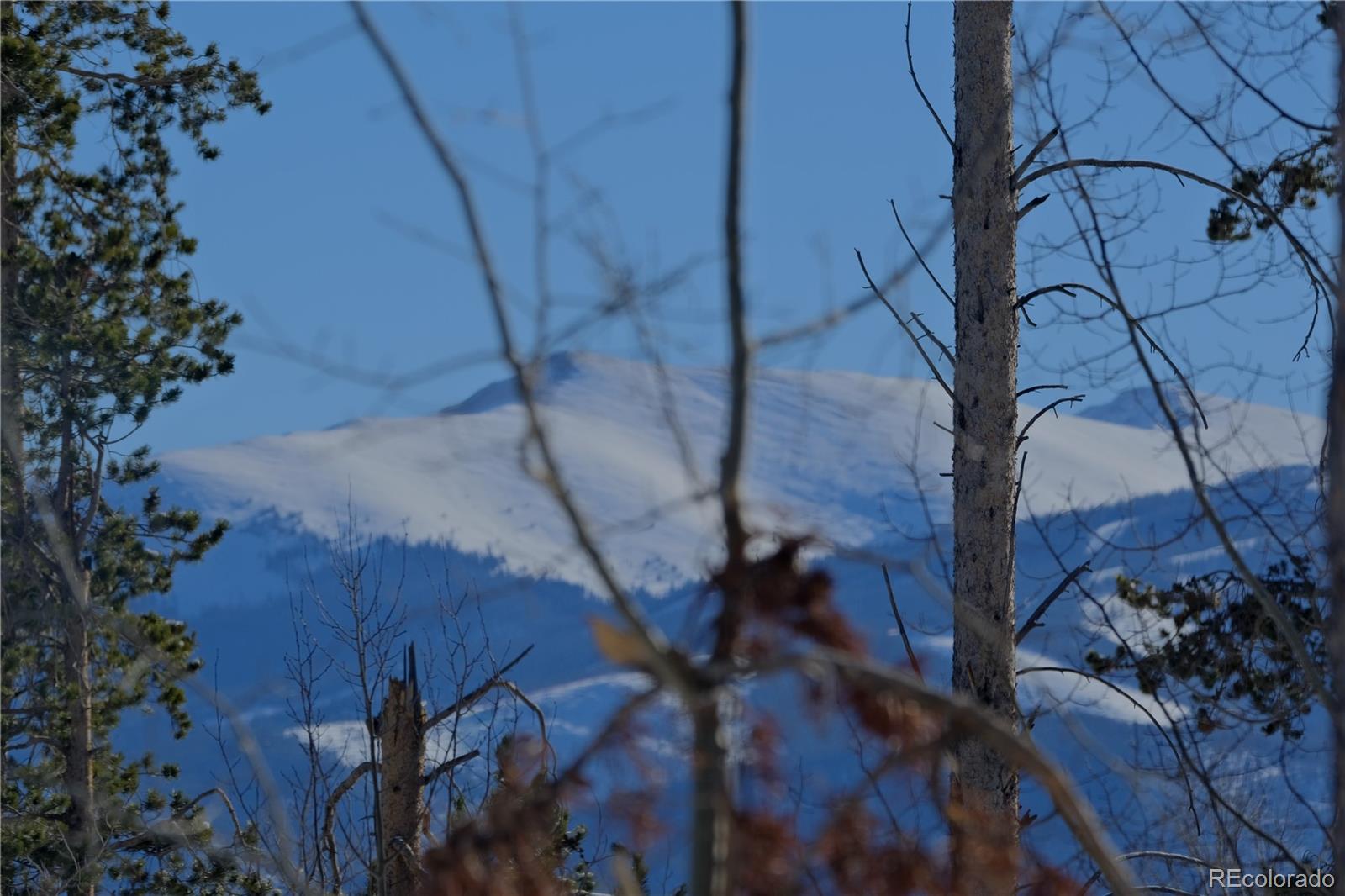 MLS Image #21 for 2300  lodge pole circle,silverthorne, Colorado