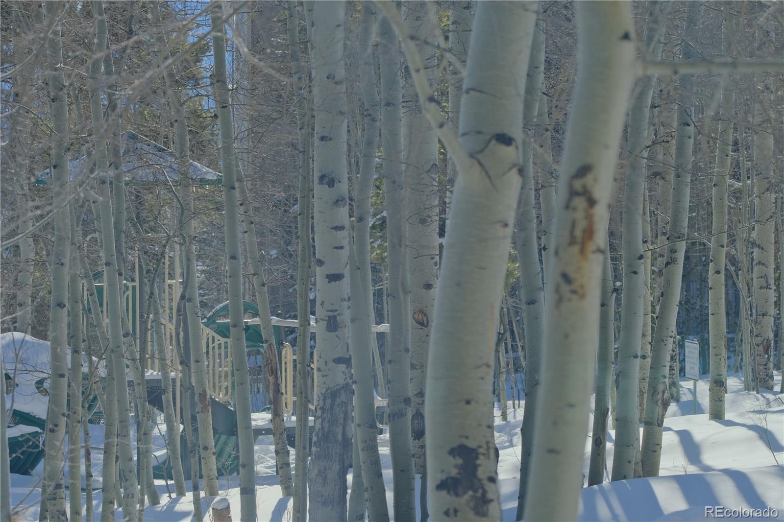 MLS Image #22 for 2300  lodge pole circle,silverthorne, Colorado