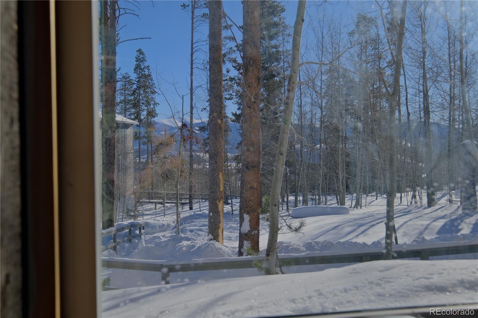 MLS Image #28 for 2300  lodge pole circle,silverthorne, Colorado