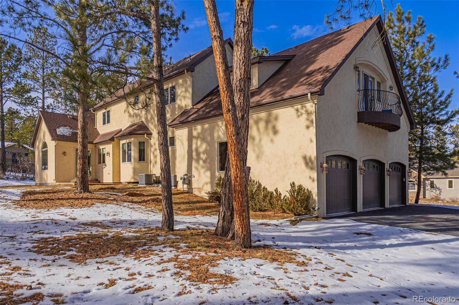 MLS Image #4 for 590  cumberland road,larkspur, Colorado