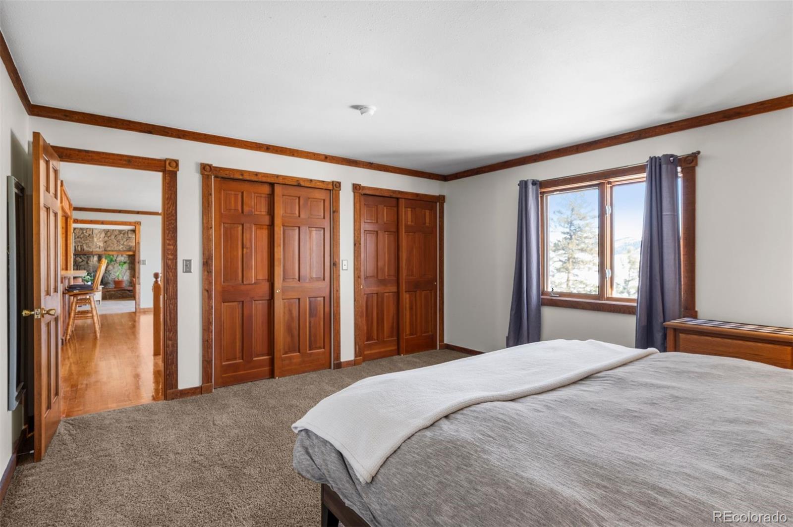 MLS Image #15 for 2006  redhill road,fairplay, Colorado