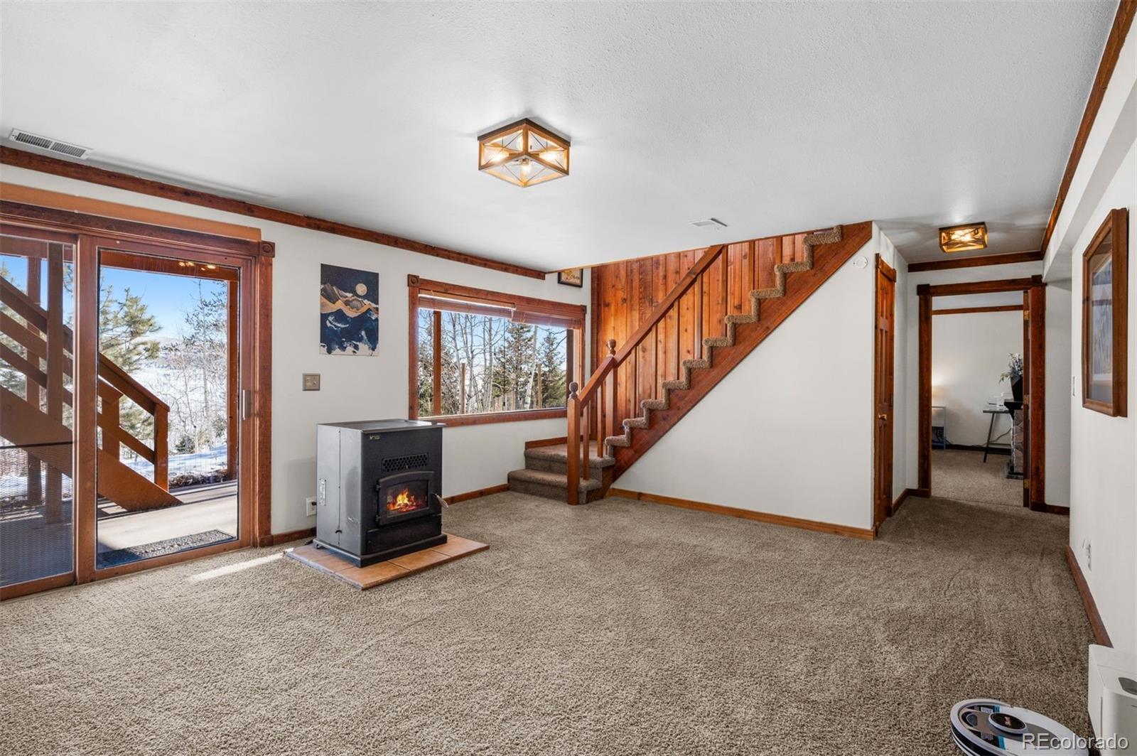 MLS Image #18 for 2006  redhill road,fairplay, Colorado