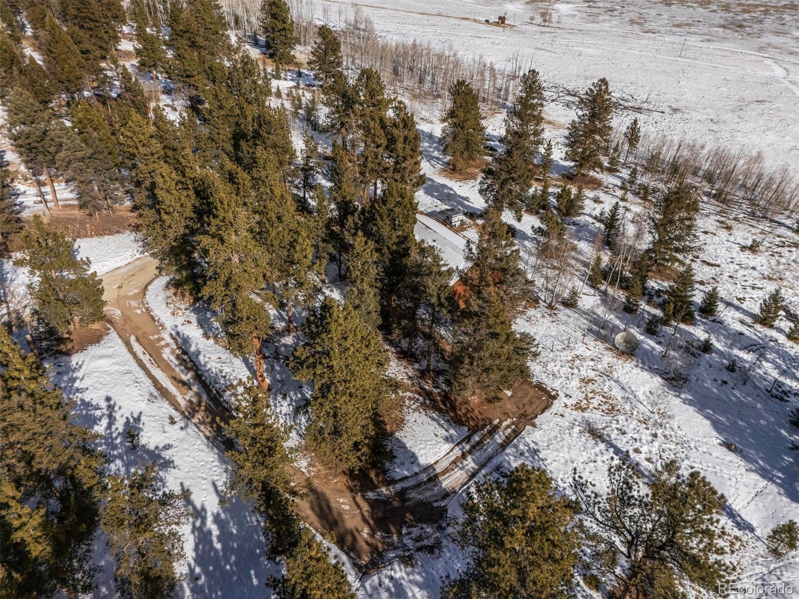 MLS Image #38 for 2006  redhill road,fairplay, Colorado