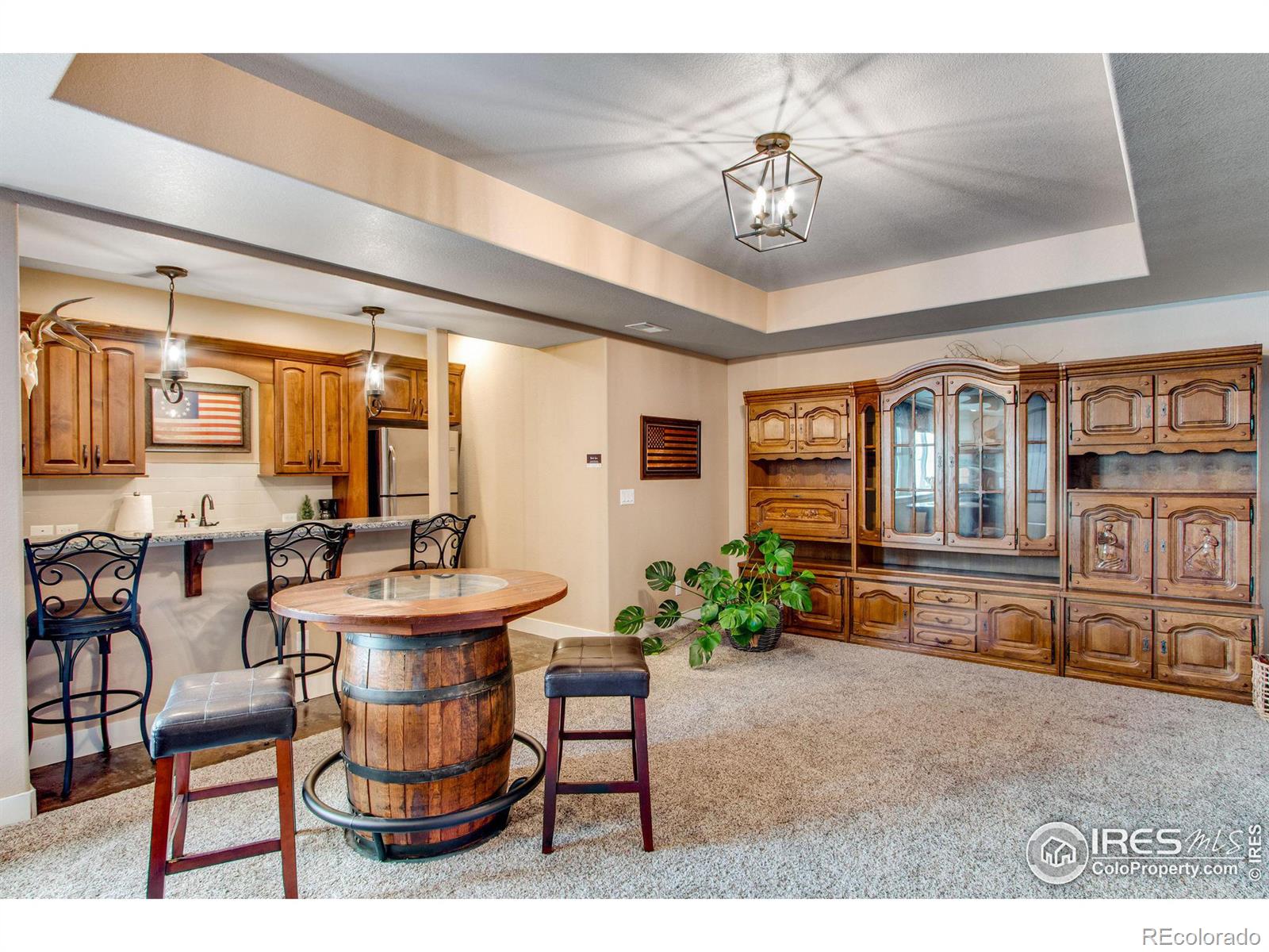 MLS Image #24 for 39907  ridge park drive,severance, Colorado