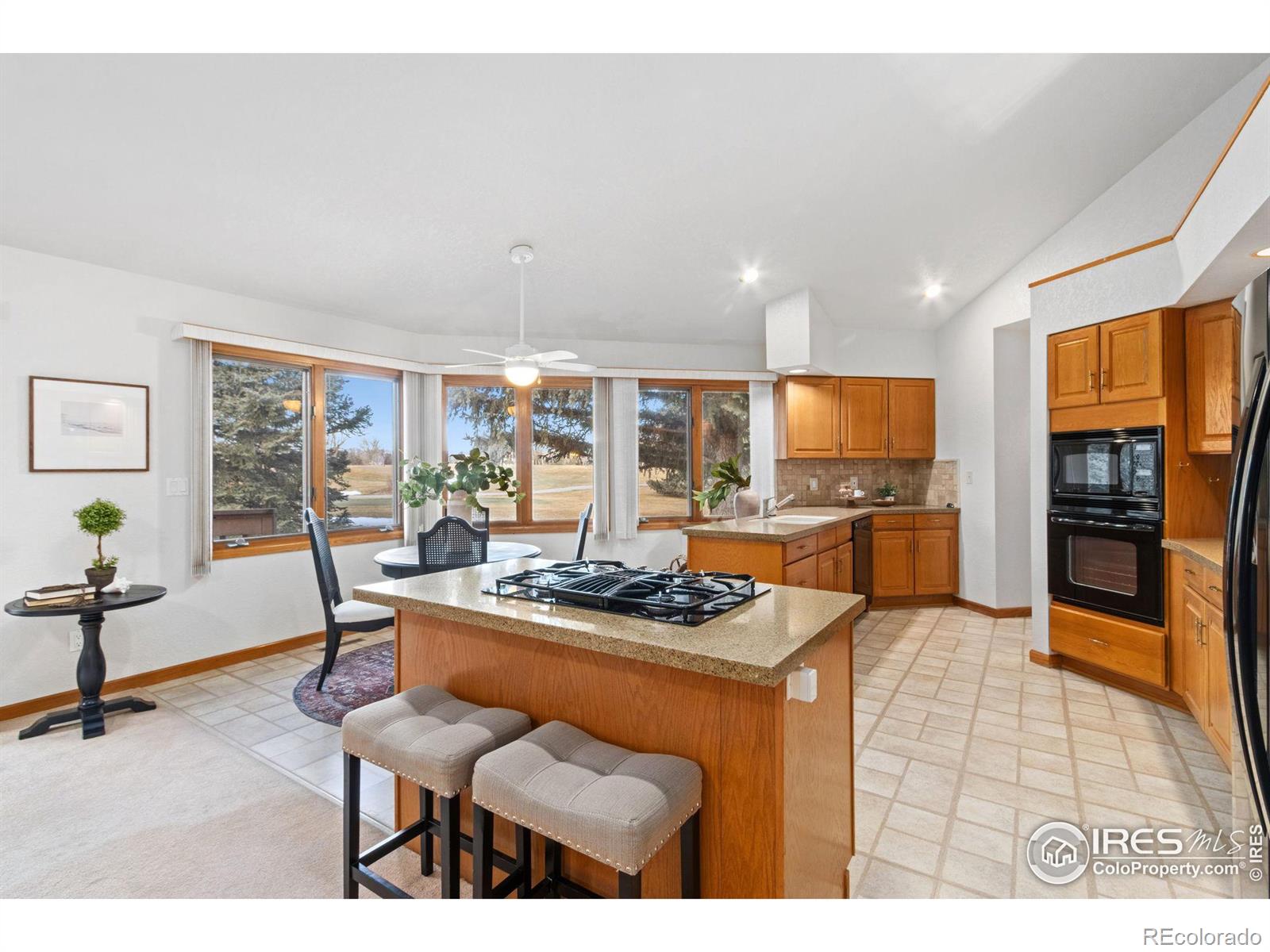 MLS Image #11 for 2409  turnberry road,fort collins, Colorado