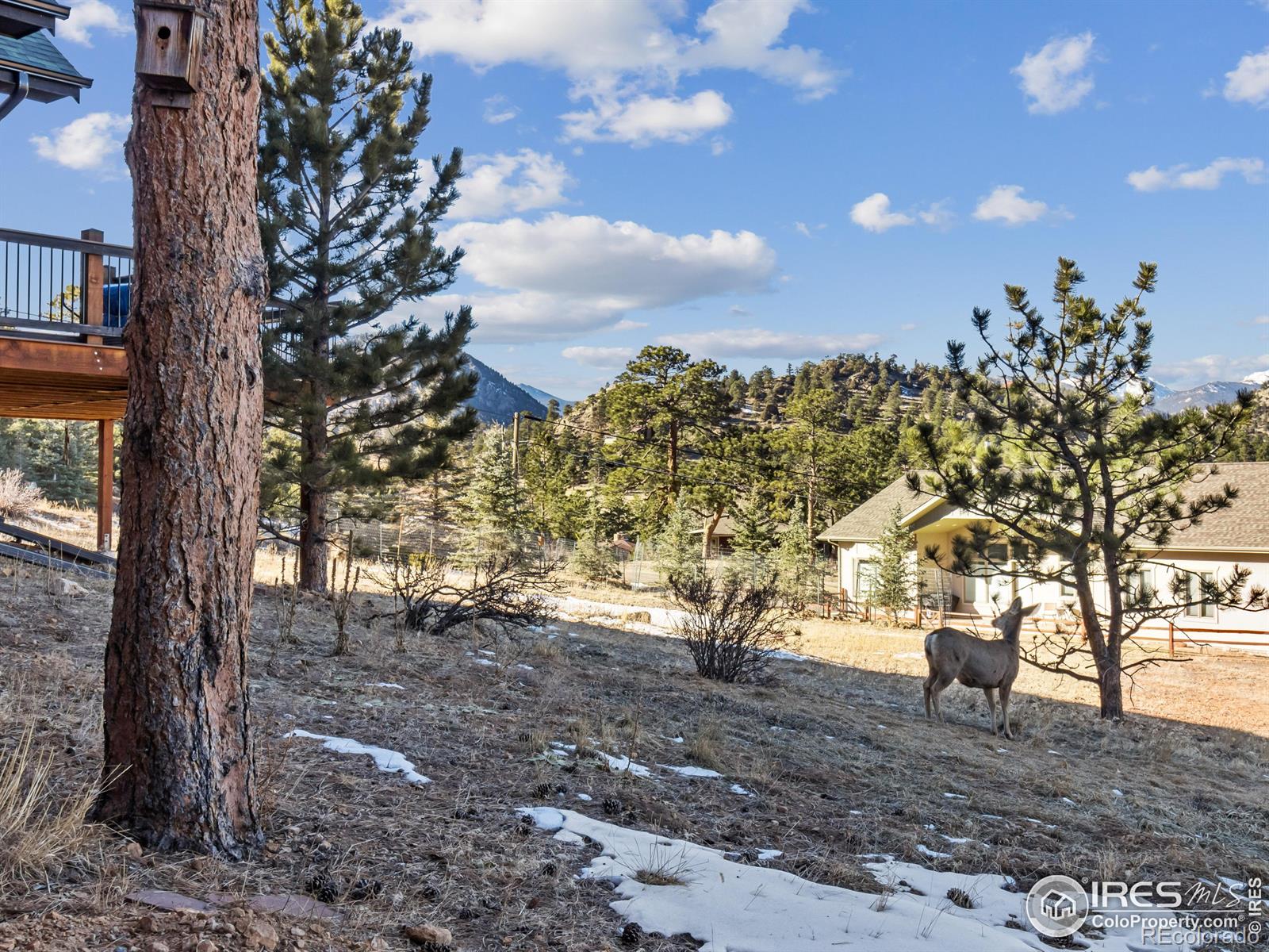 MLS Image #16 for 609  whispering pines drive,estes park, Colorado