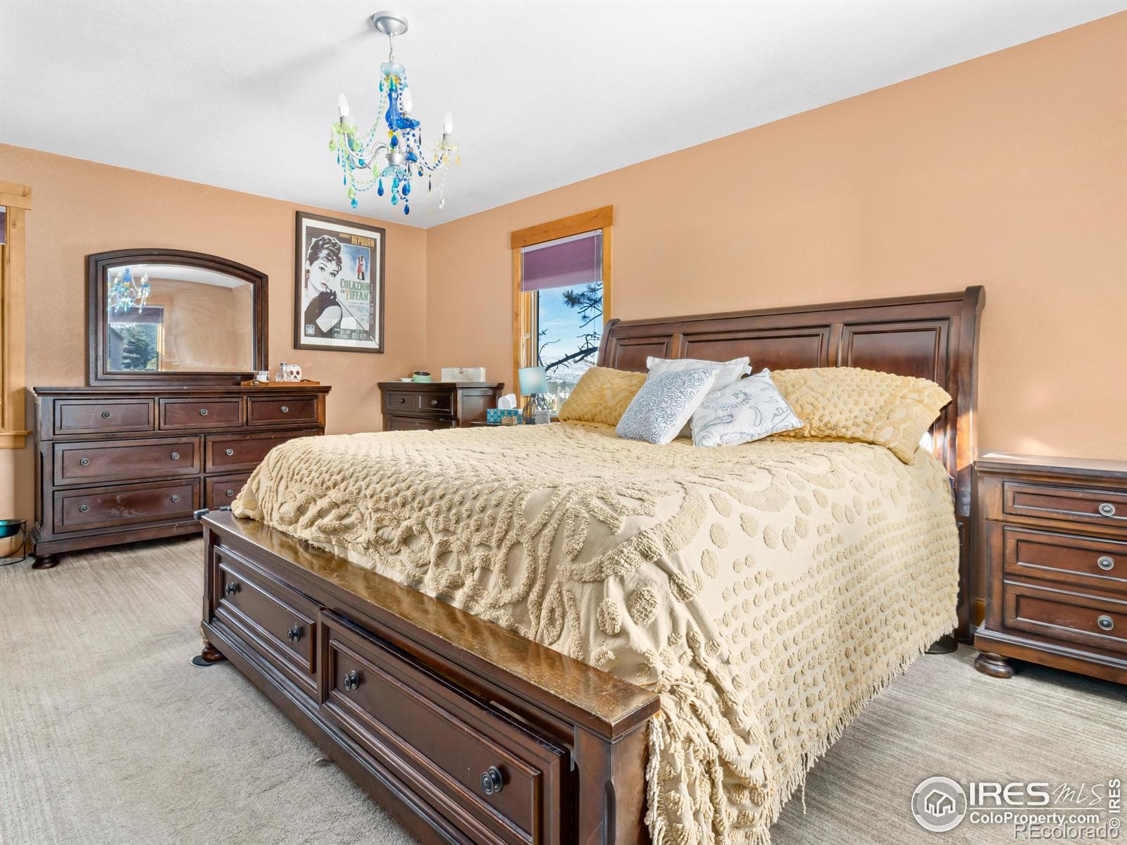 MLS Image #23 for 609  whispering pines drive,estes park, Colorado