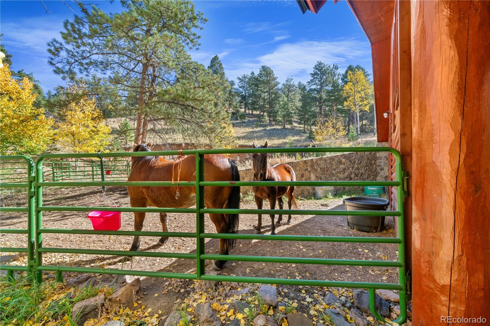 MLS Image #27 for 3115  state highway 9 ,guffey, Colorado