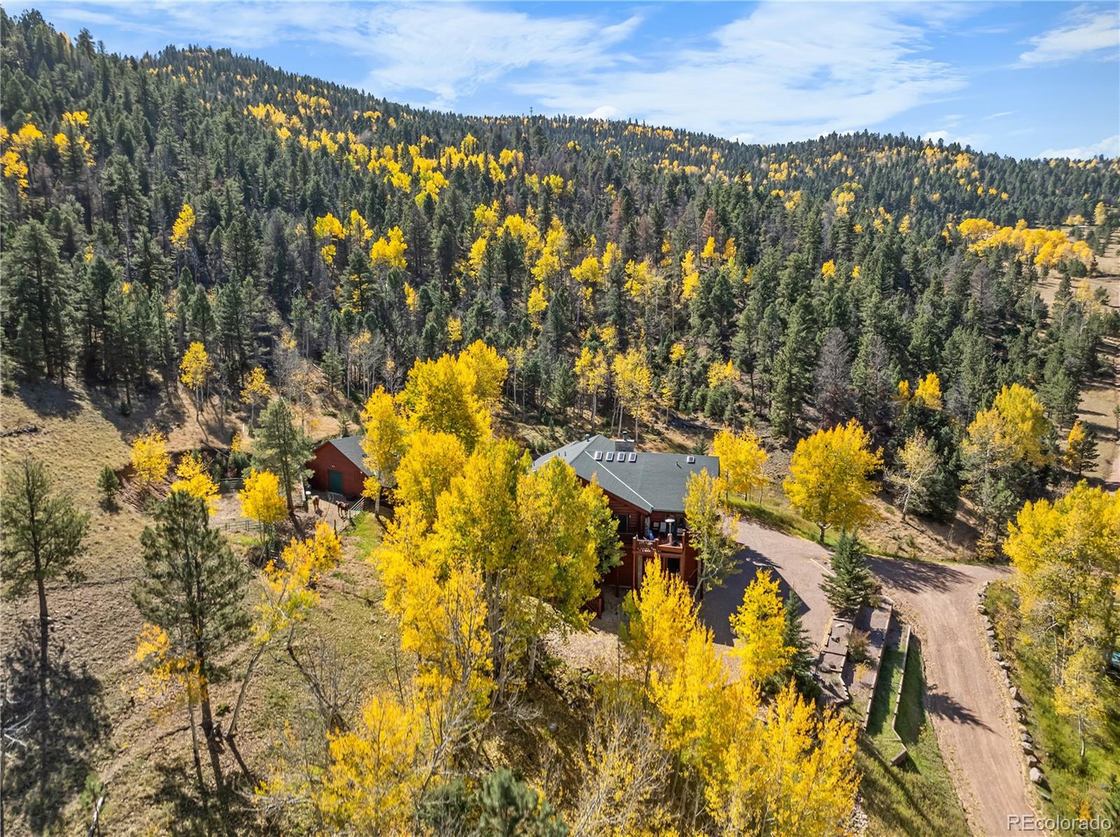 MLS Image #33 for 3115  state highway 9 ,guffey, Colorado