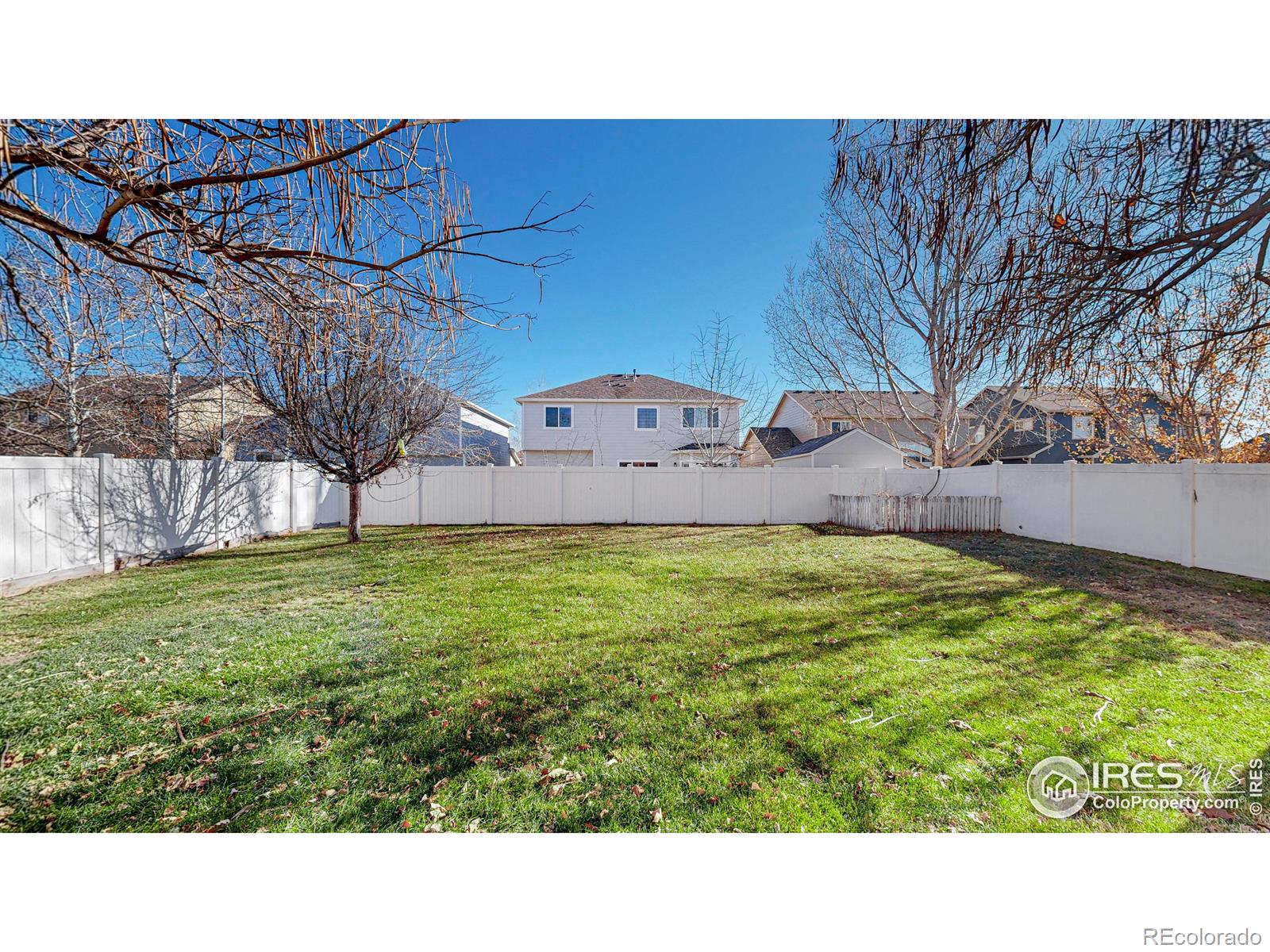 MLS Image #34 for 2462  clarion lane,fort collins, Colorado