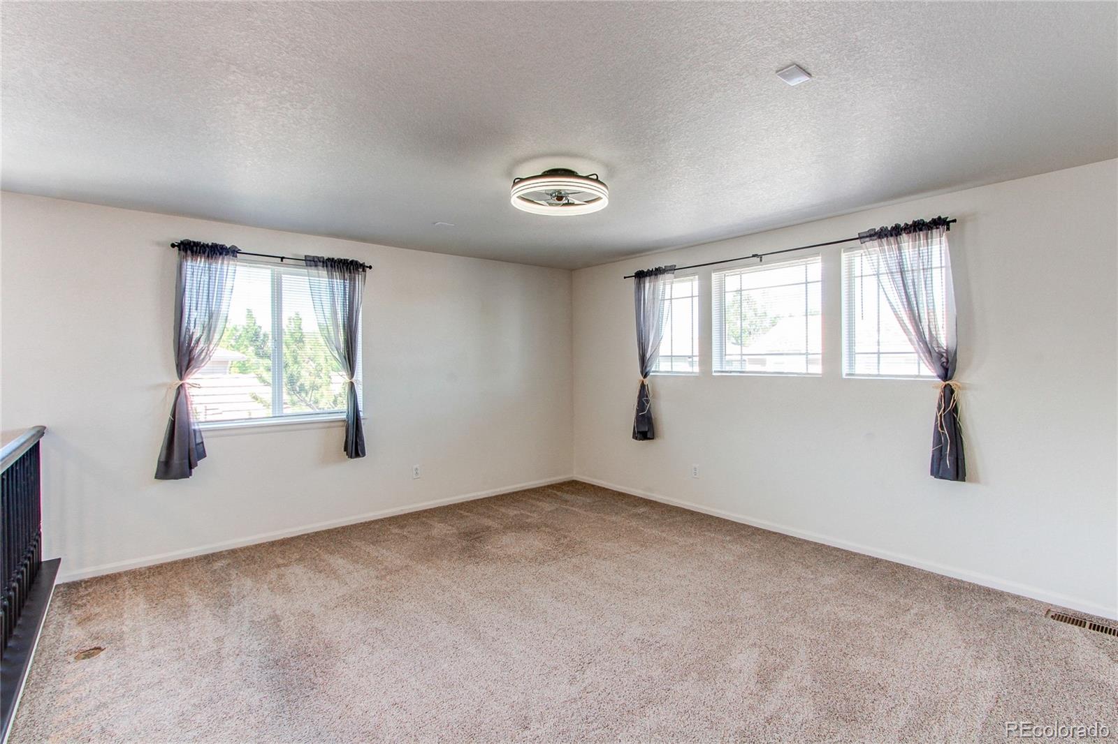 MLS Image #21 for 2432  candleglow street,castle rock, Colorado