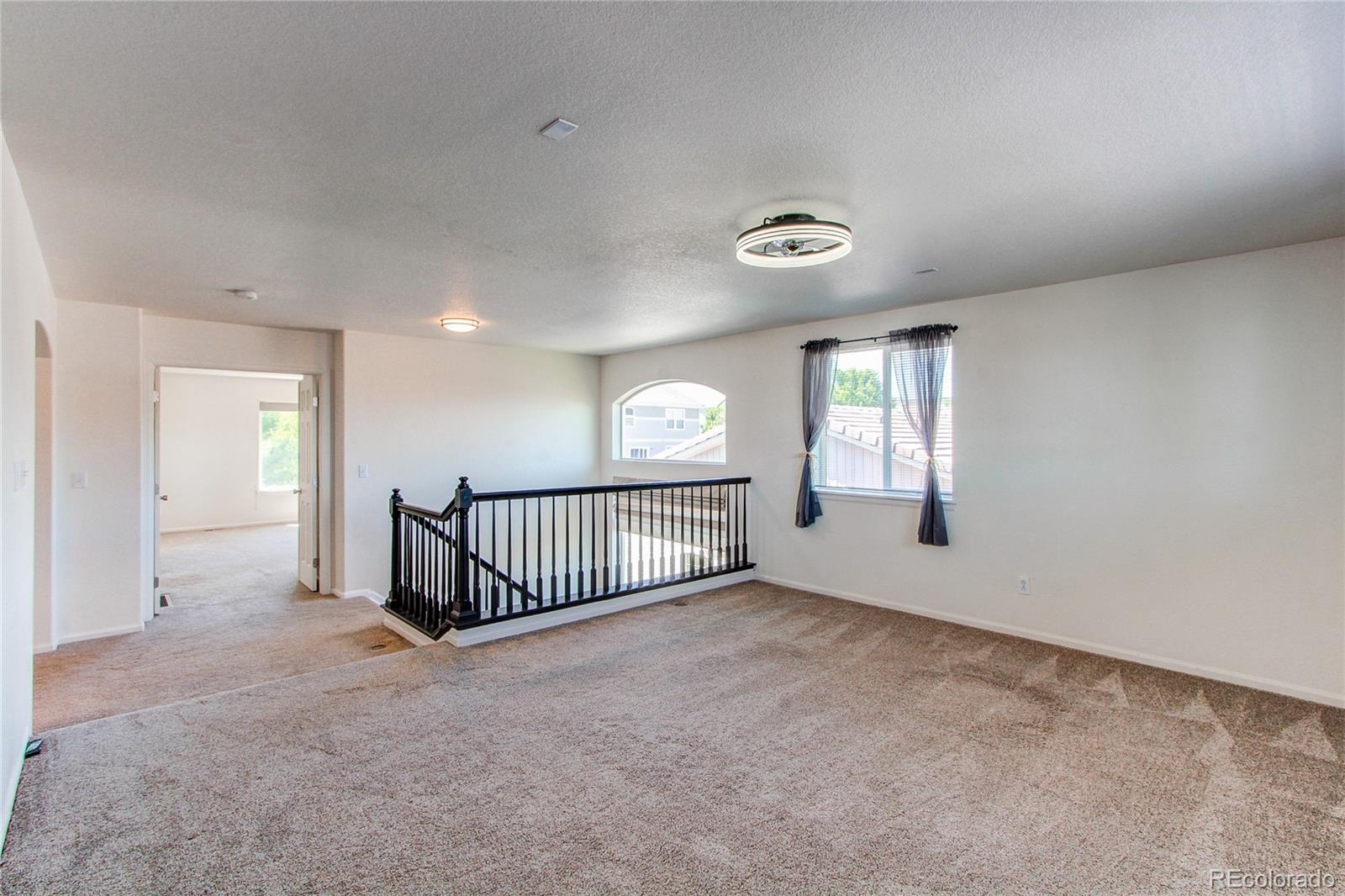 MLS Image #22 for 2432  candleglow street,castle rock, Colorado