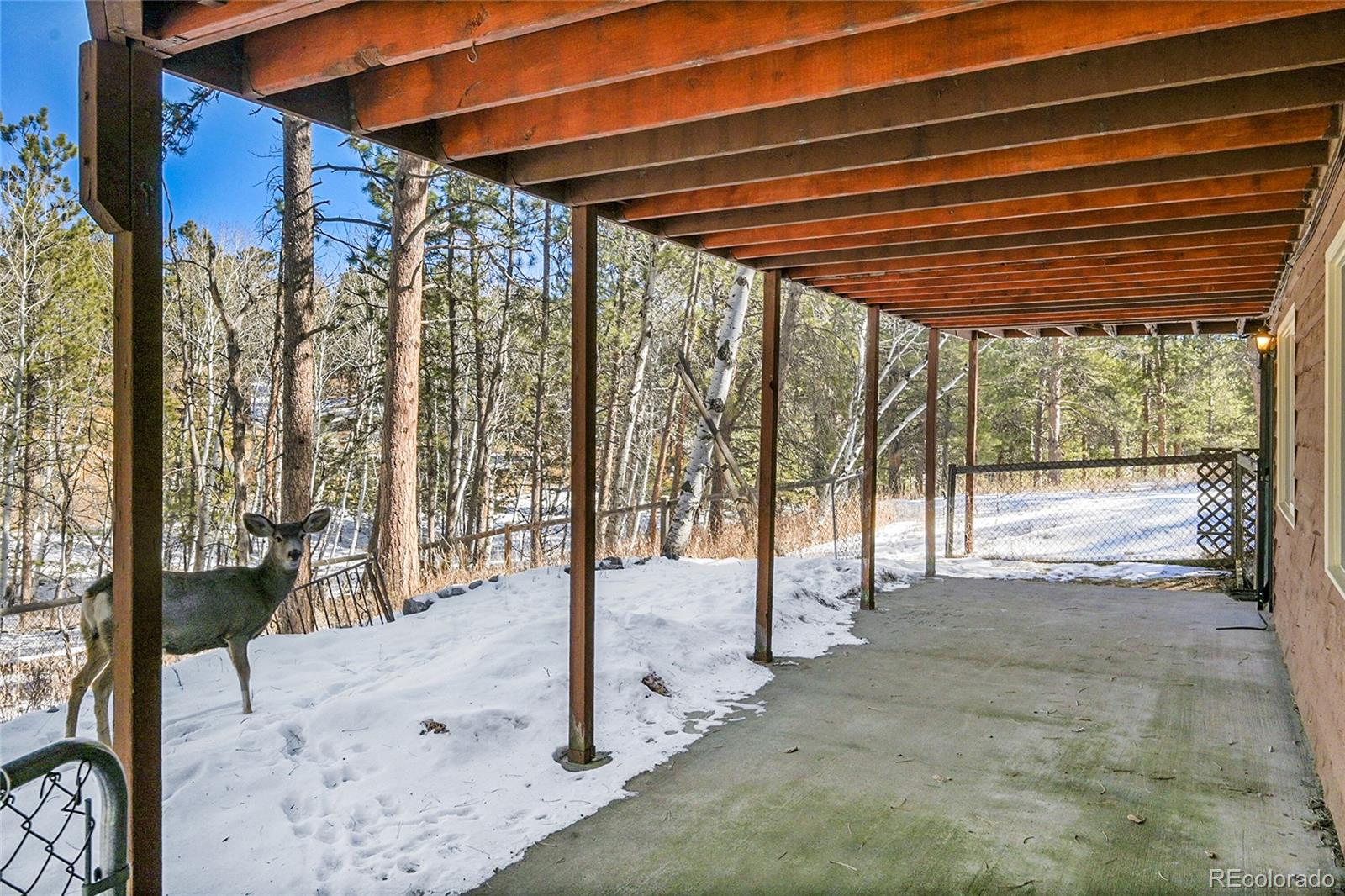 MLS Image #29 for 375  kudu trail,bailey, Colorado