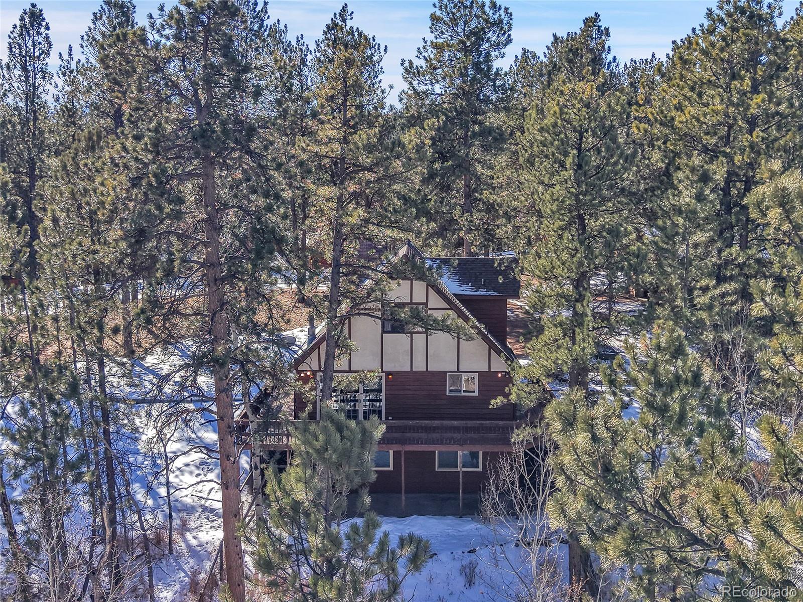 MLS Image #45 for 375  kudu trail,bailey, Colorado