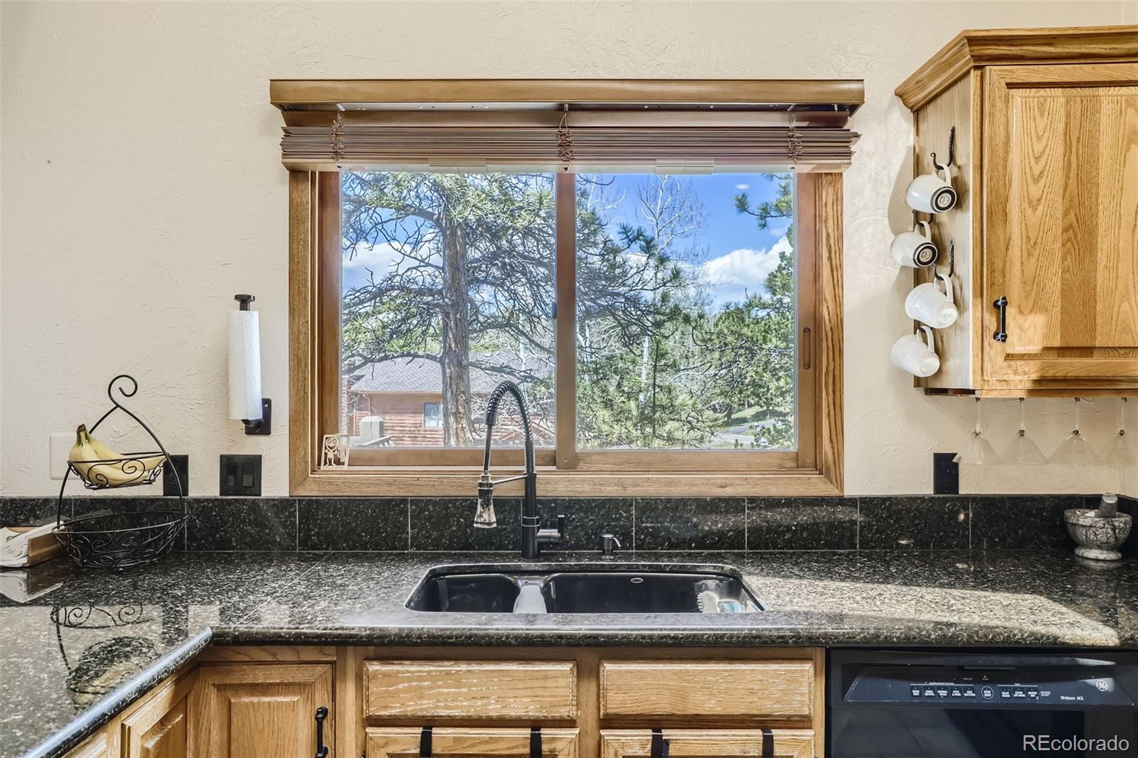 MLS Image #14 for 25875  buffalo lane,golden, Colorado