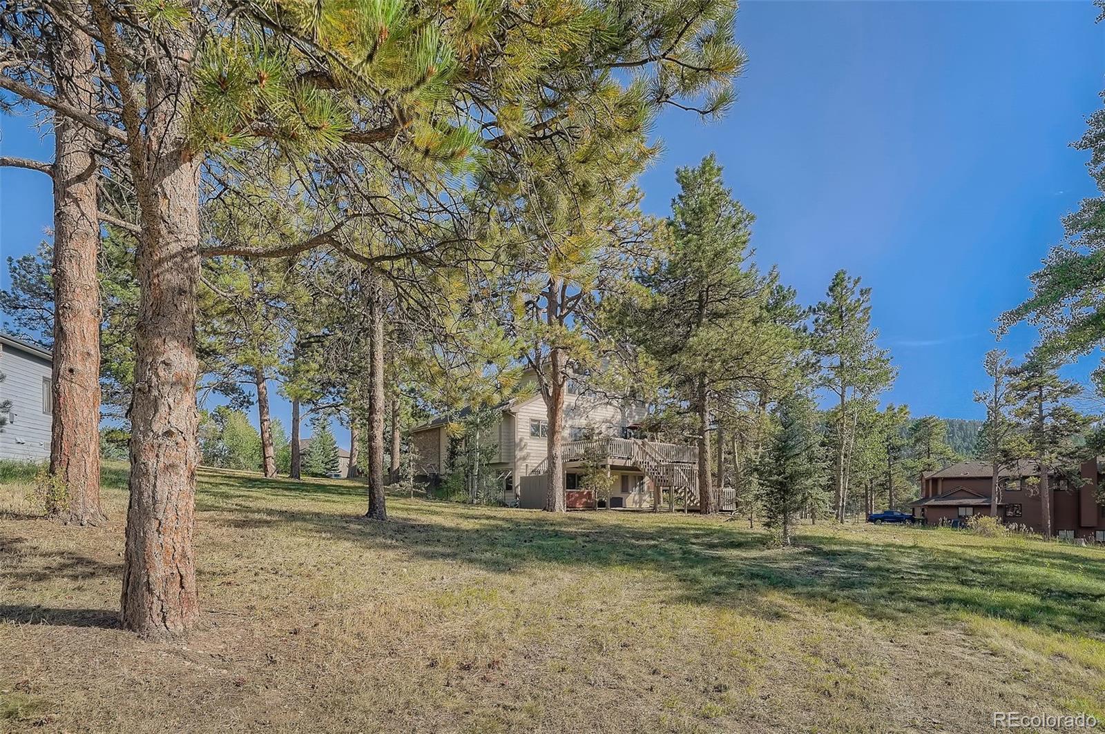 MLS Image #43 for 25875  buffalo lane,golden, Colorado