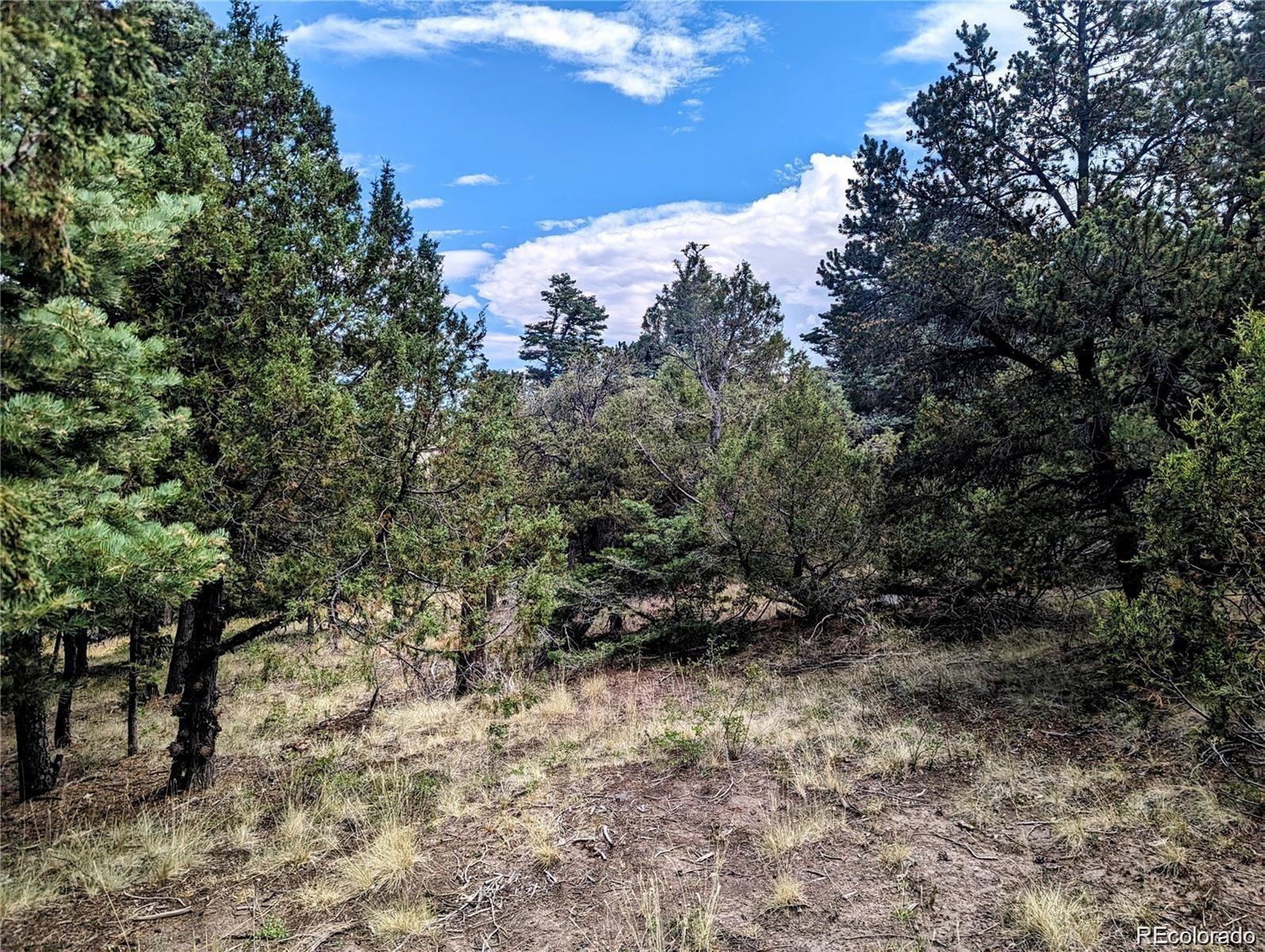 MLS Image #30 for lot 5022  jensen road,fort garland, Colorado