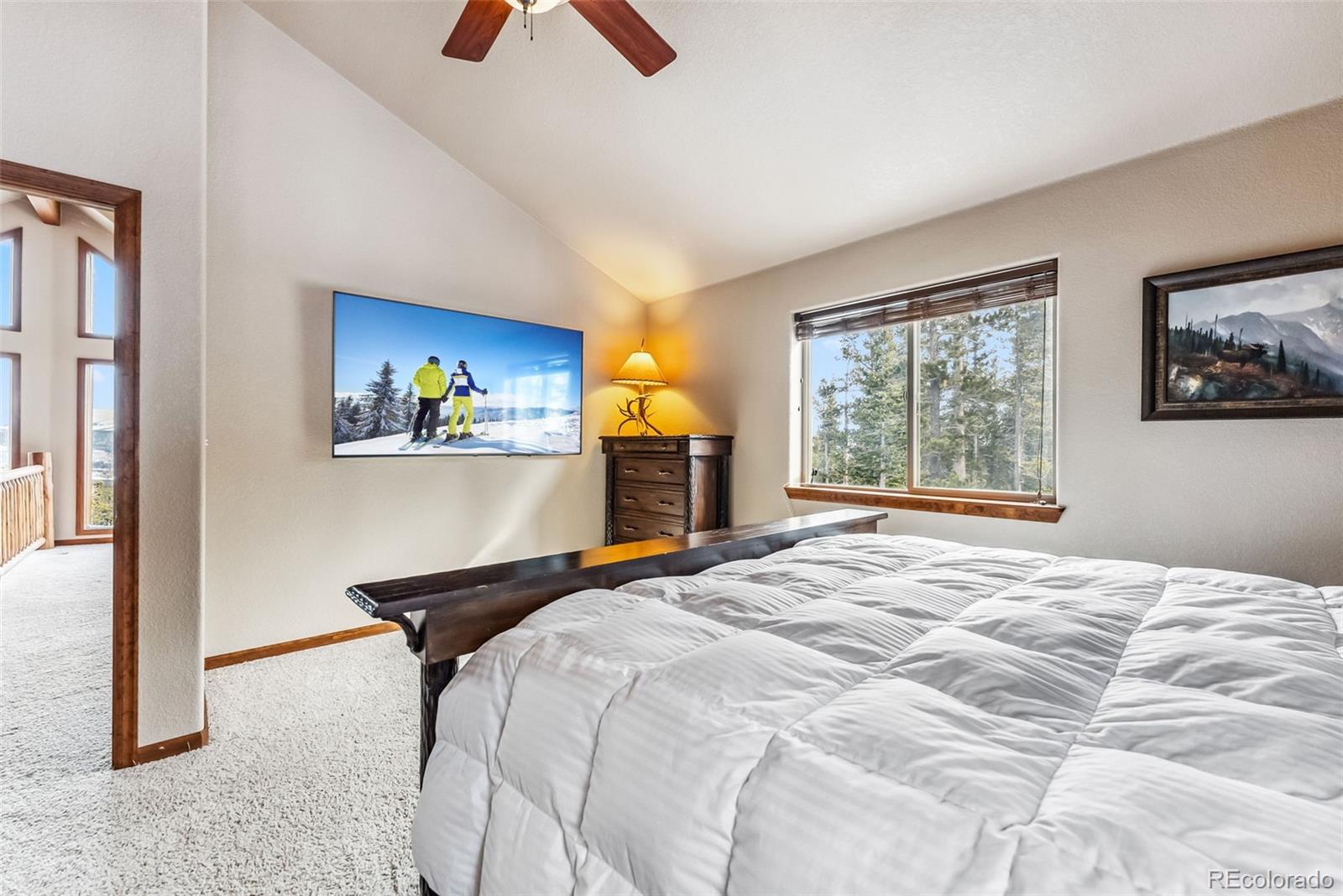 MLS Image #17 for 144  puma place,fairplay, Colorado