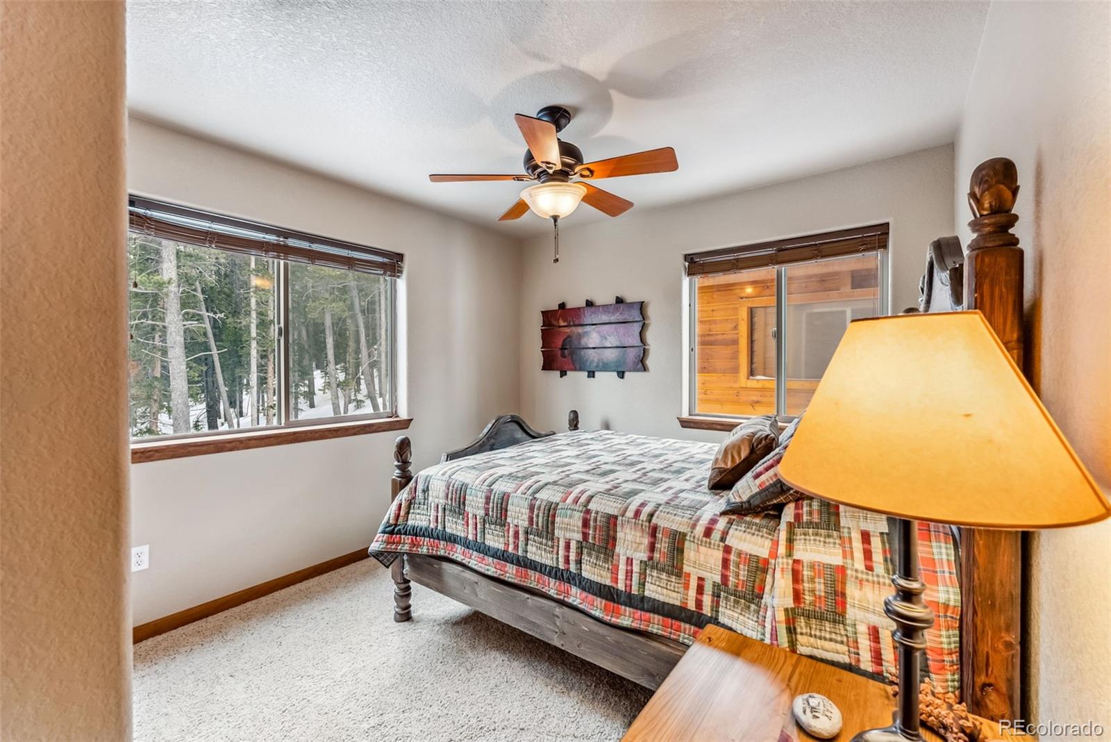 MLS Image #29 for 144  puma place,fairplay, Colorado