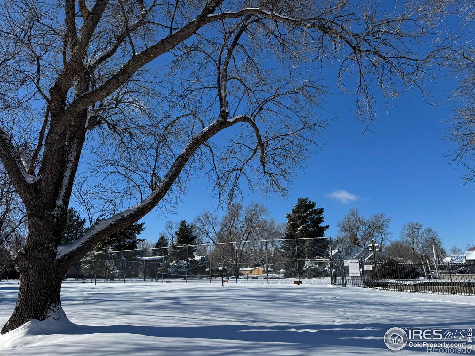 MLS Image #18 for 705 e drake road,fort collins, Colorado