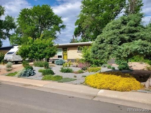 MLS Image #7 for 209  reed street,lakewood, Colorado