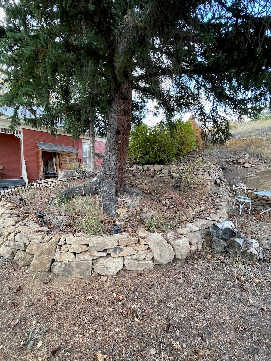 MLS Image #27 for 351  eureka street,central city, Colorado