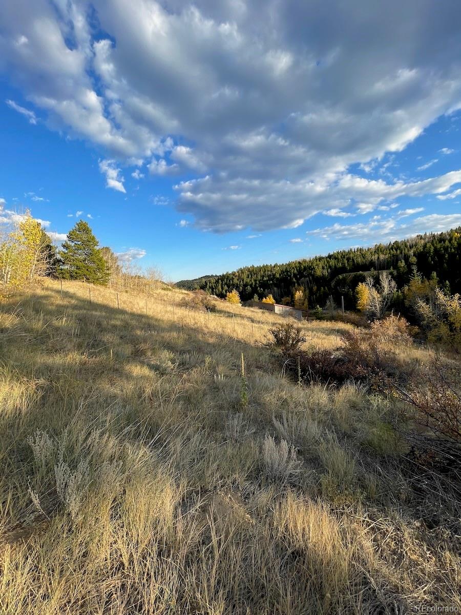 MLS Image #33 for 351  eureka street,central city, Colorado