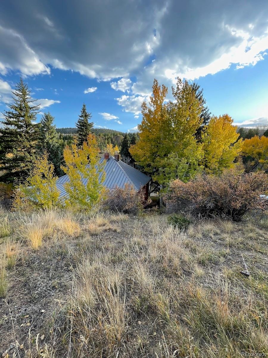 MLS Image #37 for 351  eureka street,central city, Colorado