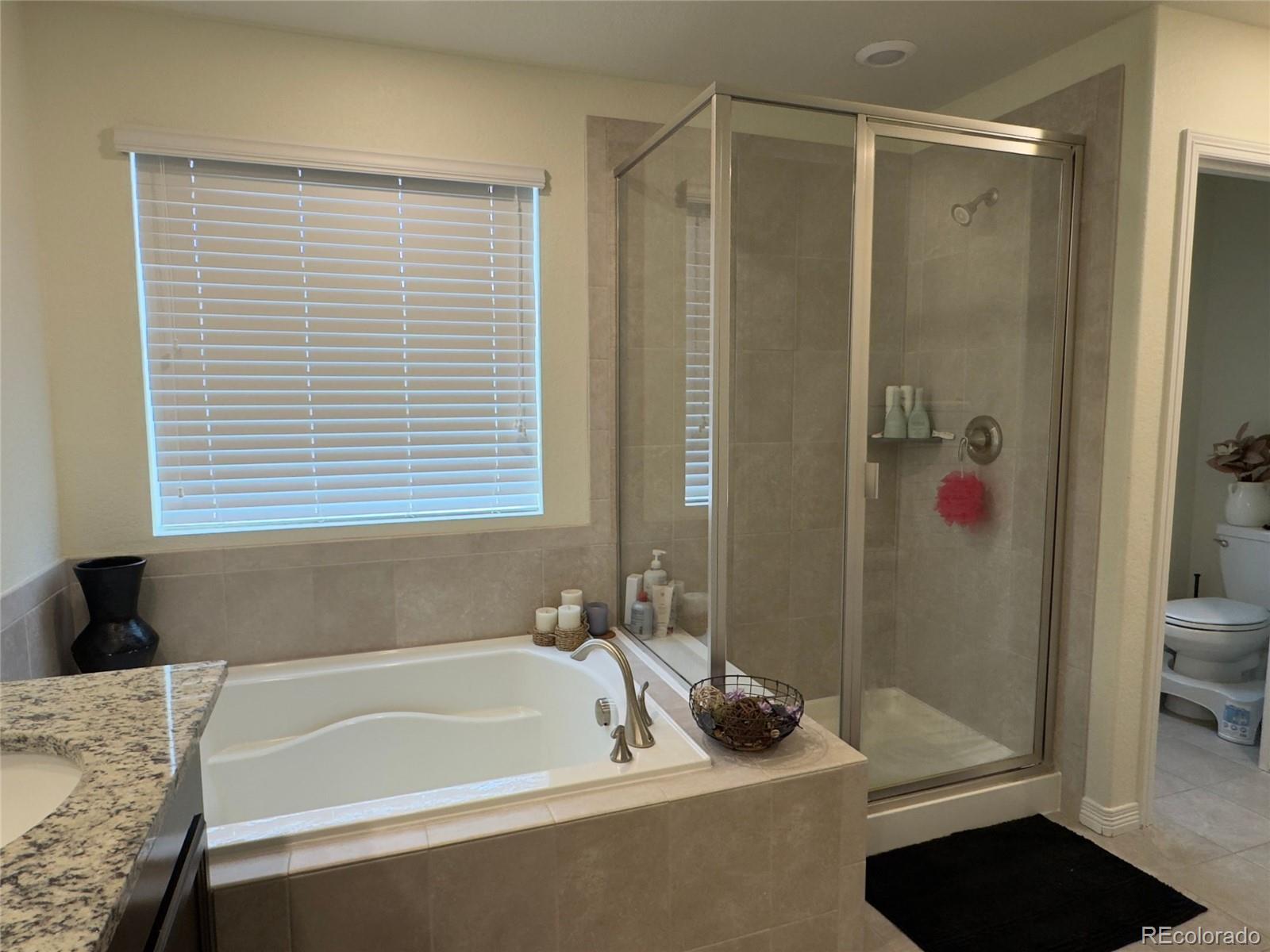 MLS Image #39 for 2521 e 163rd place,thornton, Colorado