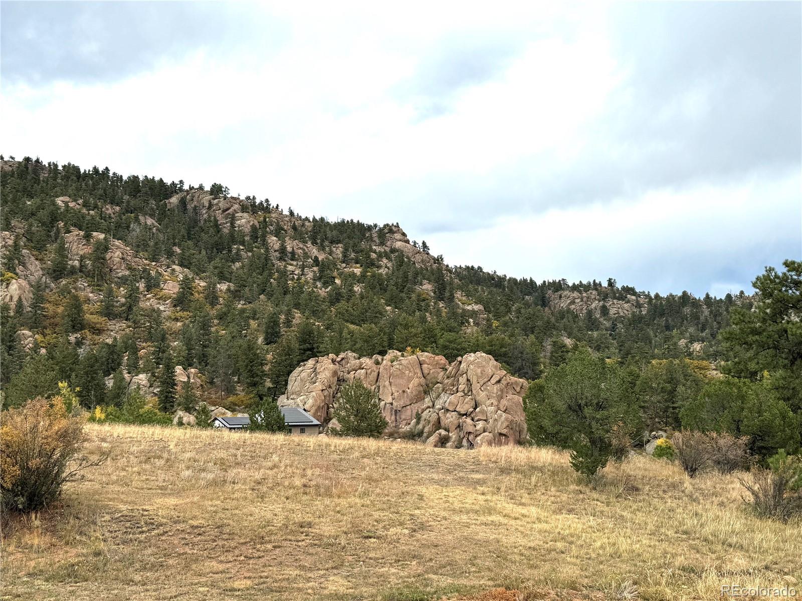 MLS Image #20 for 1441  high chateau road,florissant, Colorado