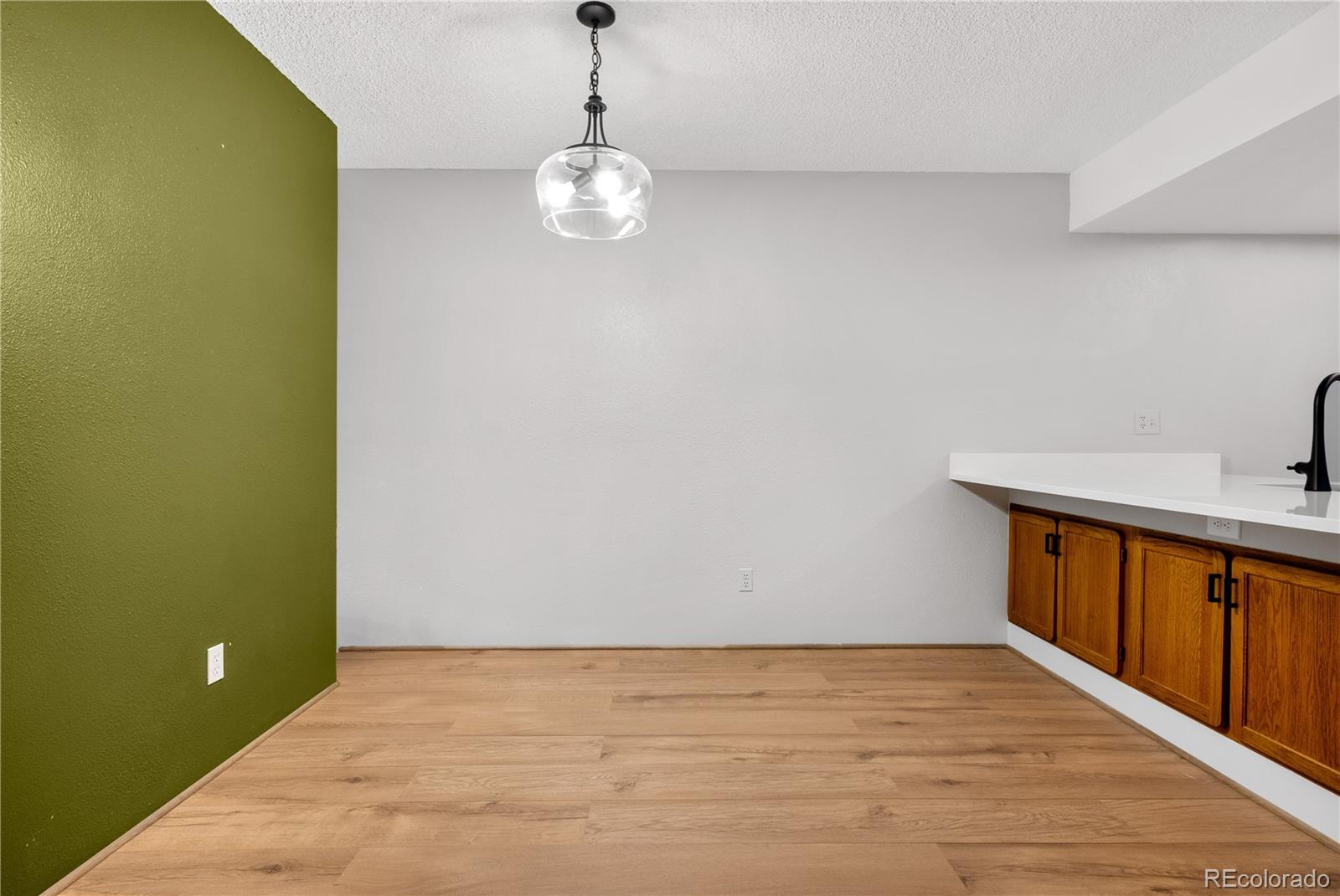 MLS Image #9 for 540 s forest street,denver, Colorado