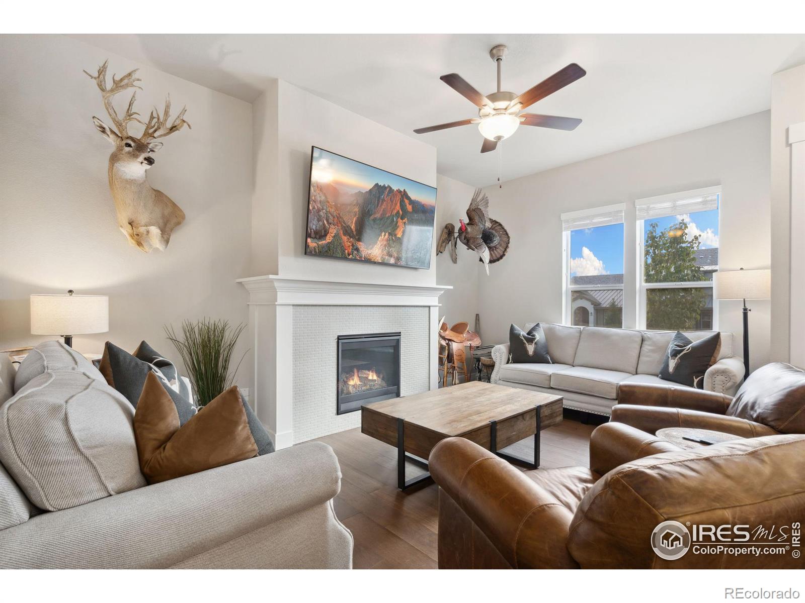 MLS Image #3 for 6246  vernazza way,windsor, Colorado