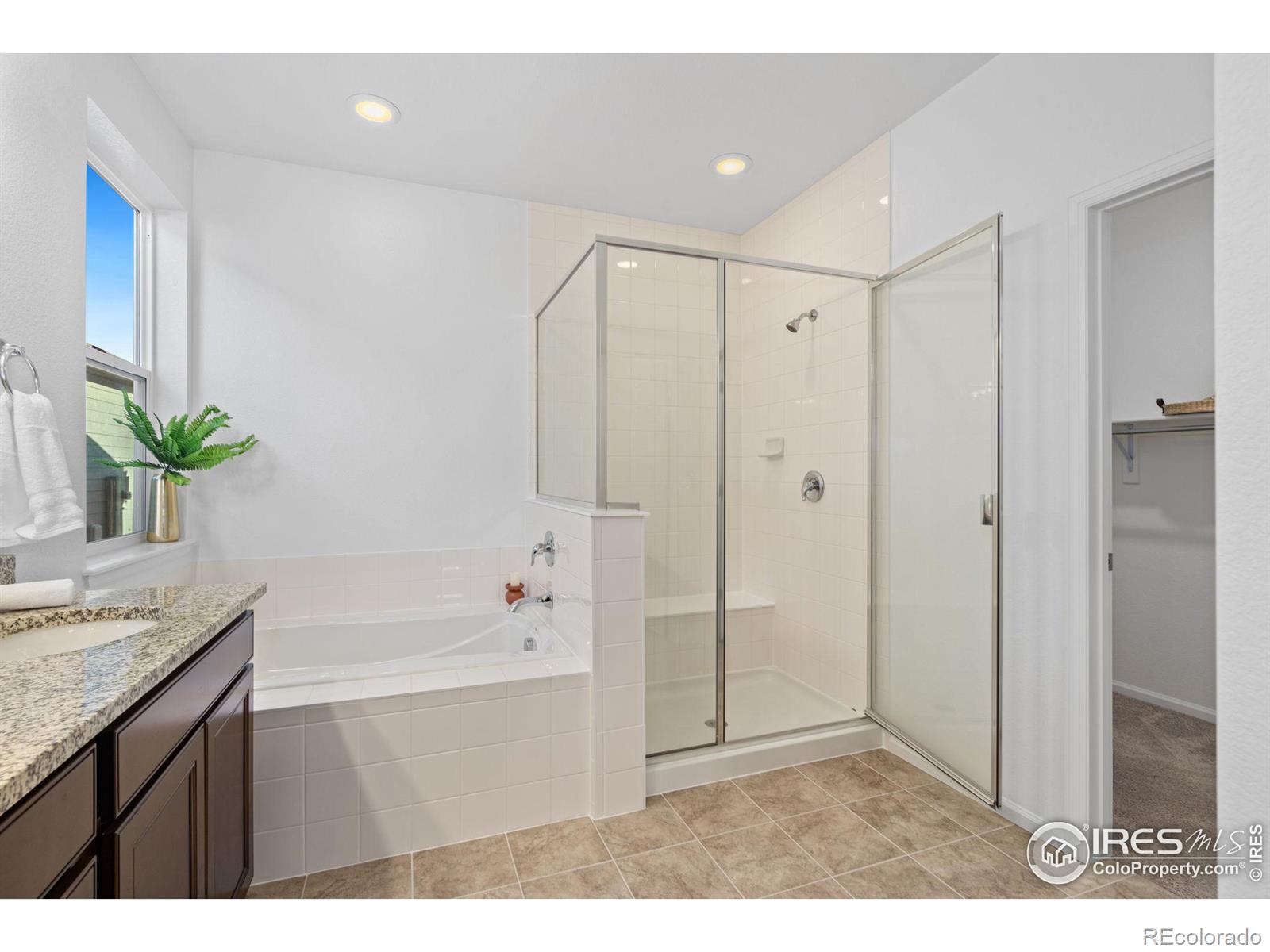 MLS Image #10 for 3431  booth falls drive,loveland, Colorado