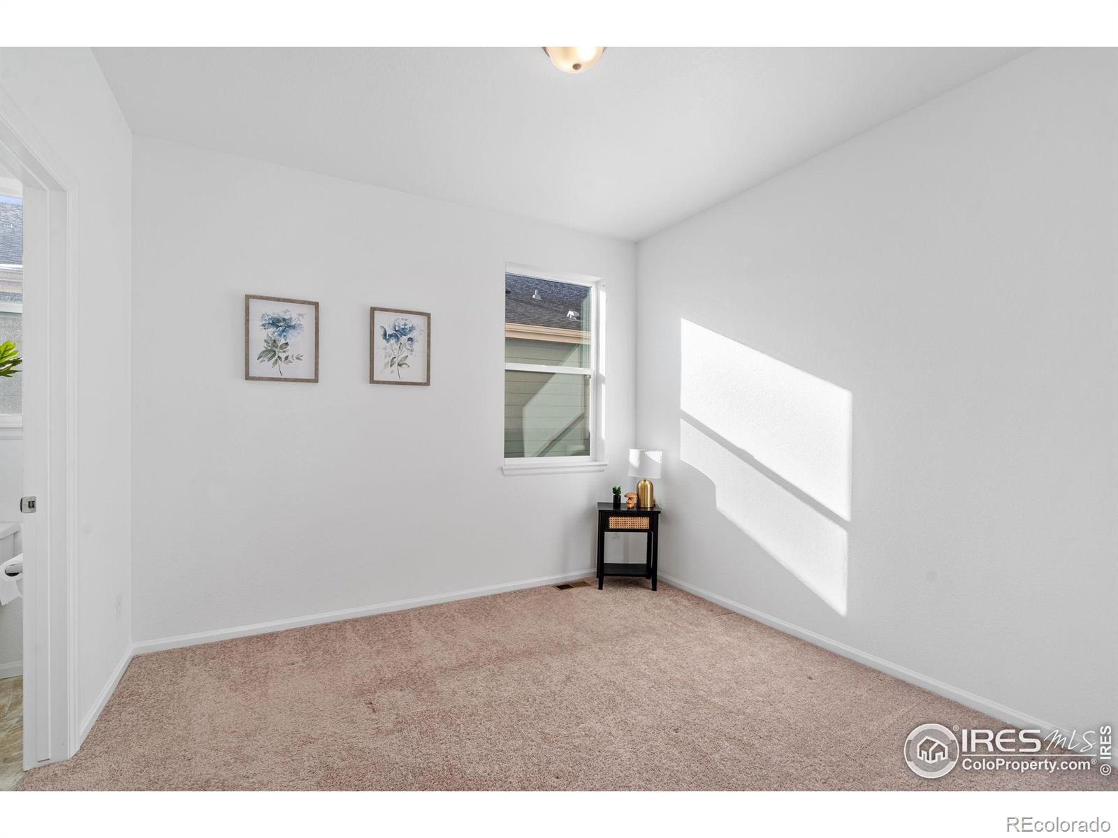 MLS Image #13 for 3431  booth falls drive,loveland, Colorado