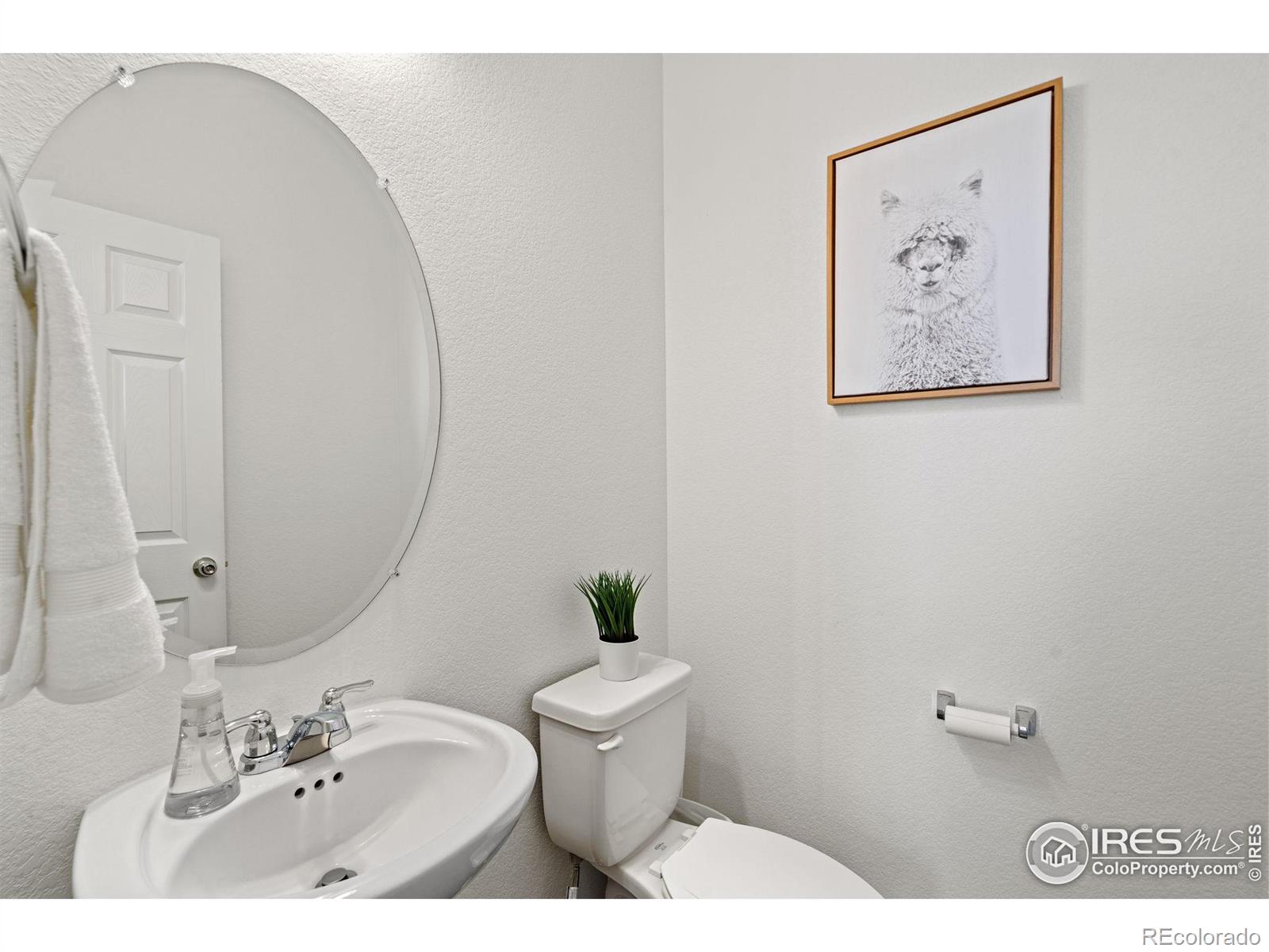 MLS Image #7 for 3431  booth falls drive,loveland, Colorado