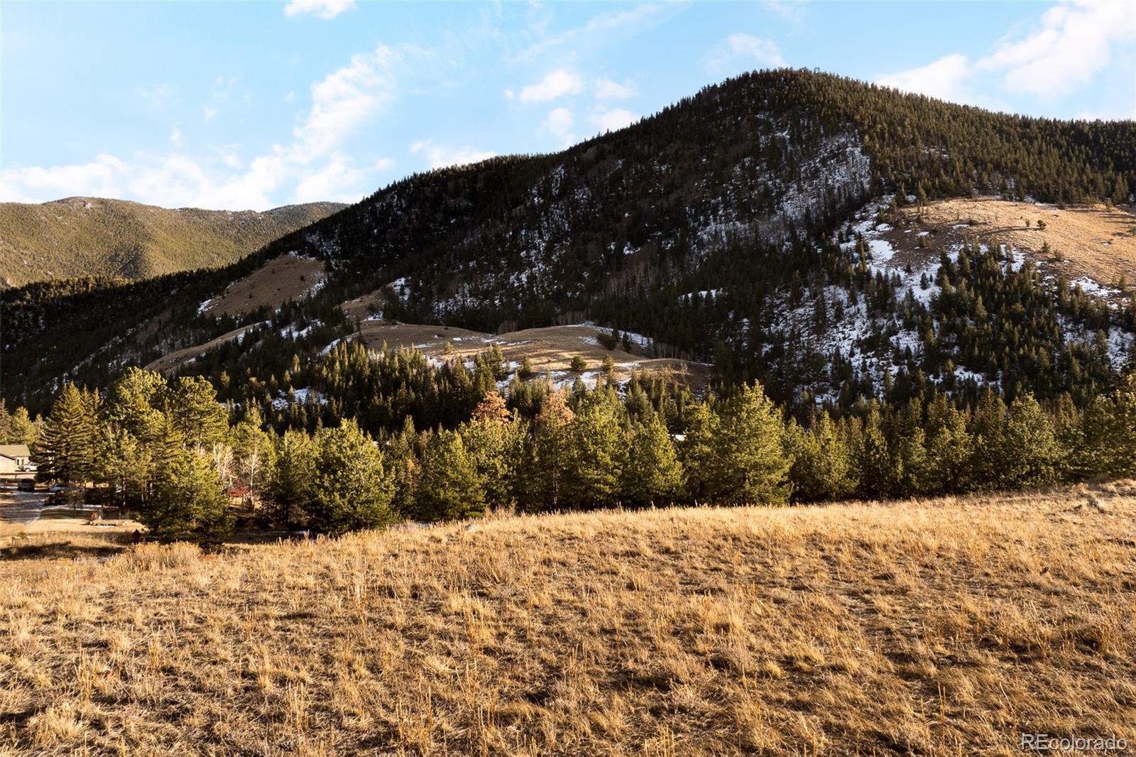 MLS Image #8 for    ,empire, Colorado