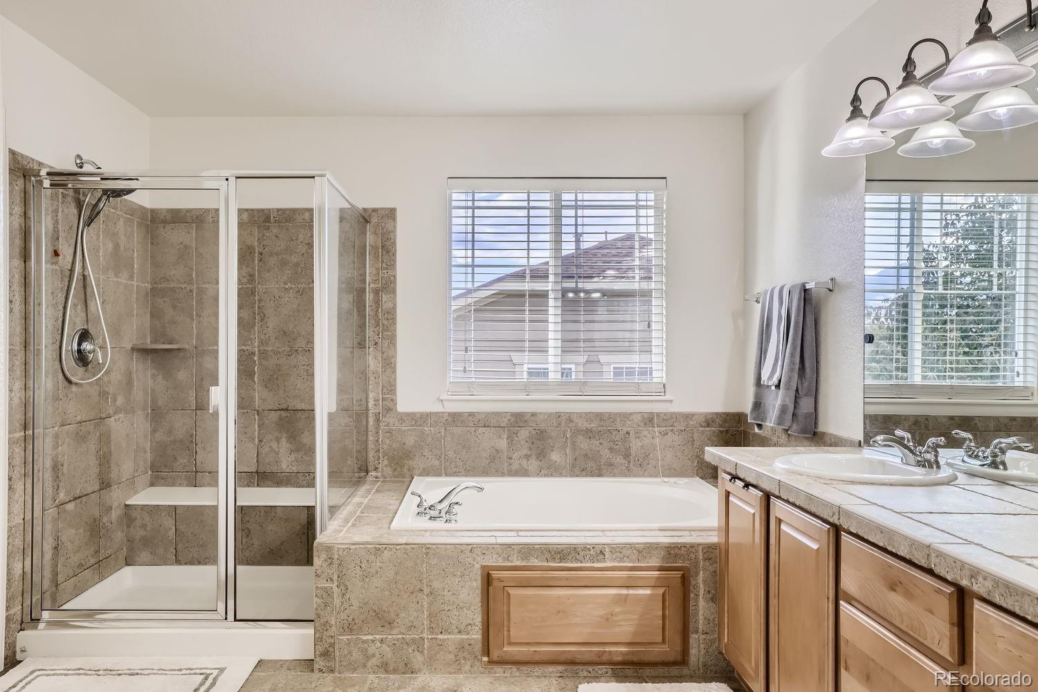 MLS Image #10 for 10218  cavaletti drive,littleton, Colorado