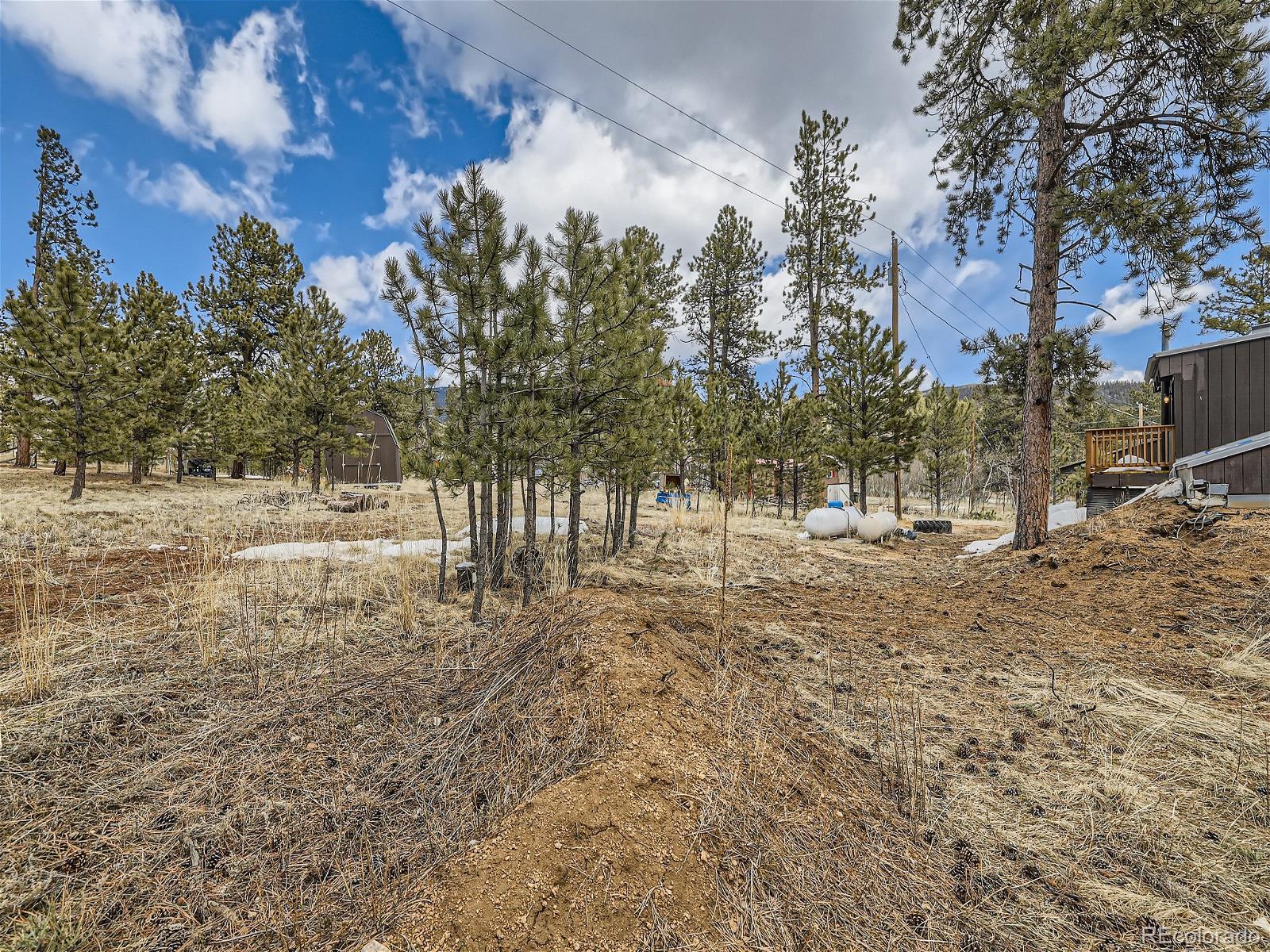 MLS Image #26 for 45  fitzsimmons road,bailey, Colorado