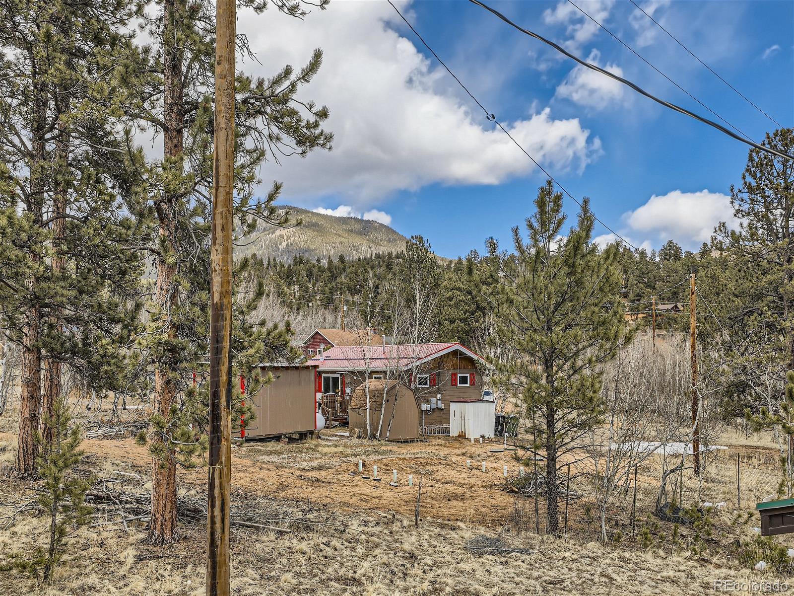 MLS Image #28 for 45  fitzsimmons road,bailey, Colorado